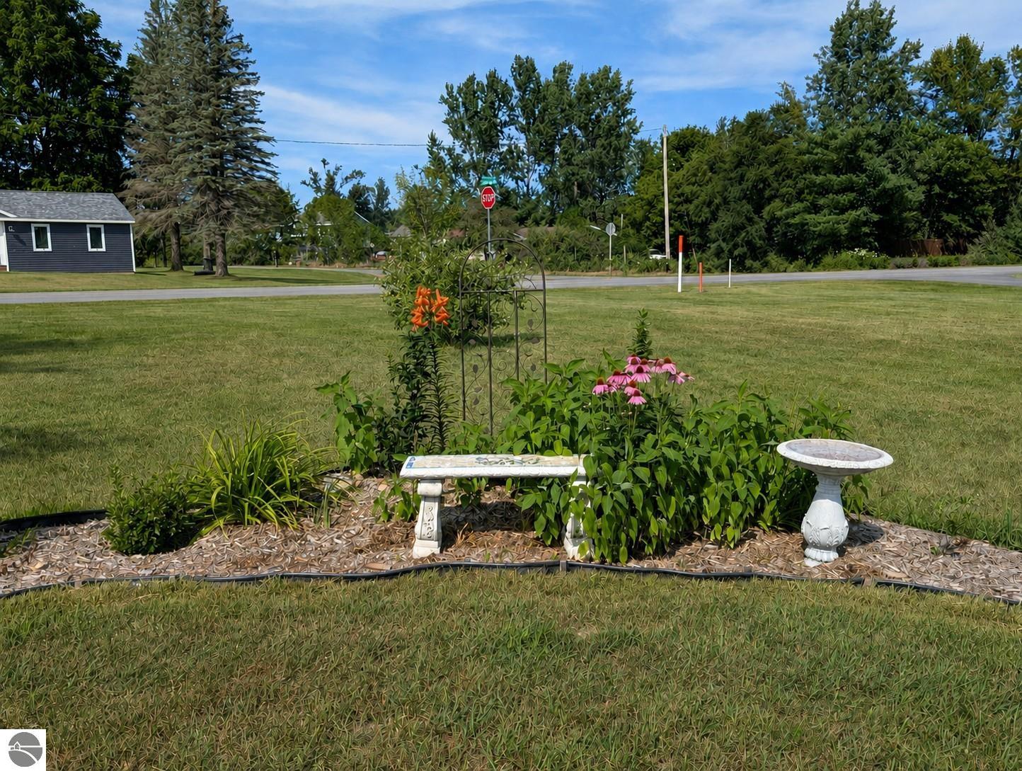 Image 35
