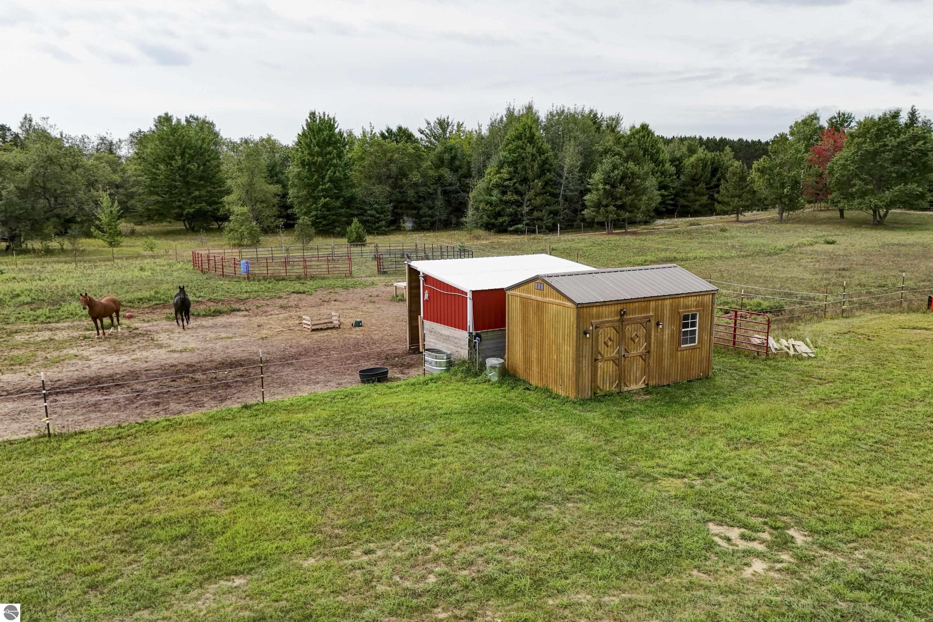 Image 46