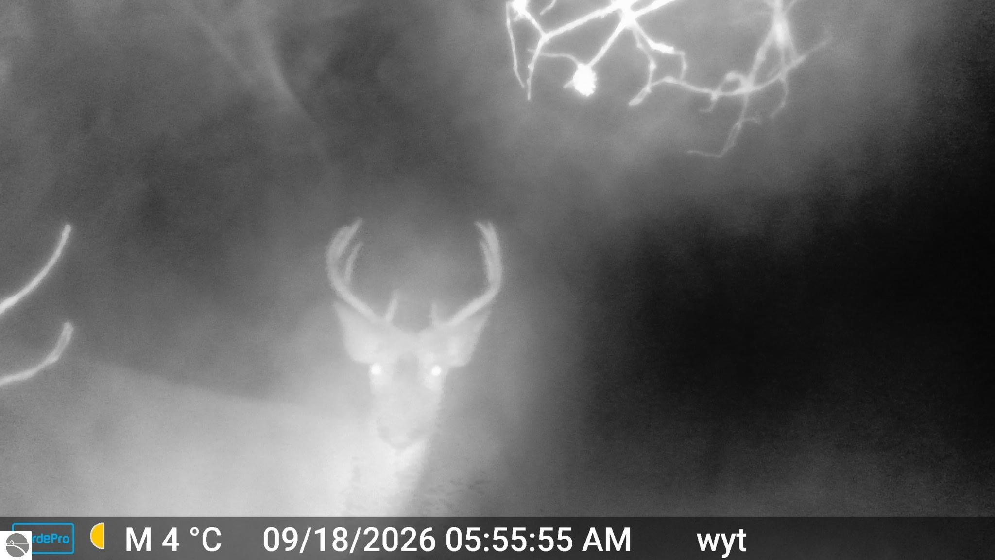 Image 65