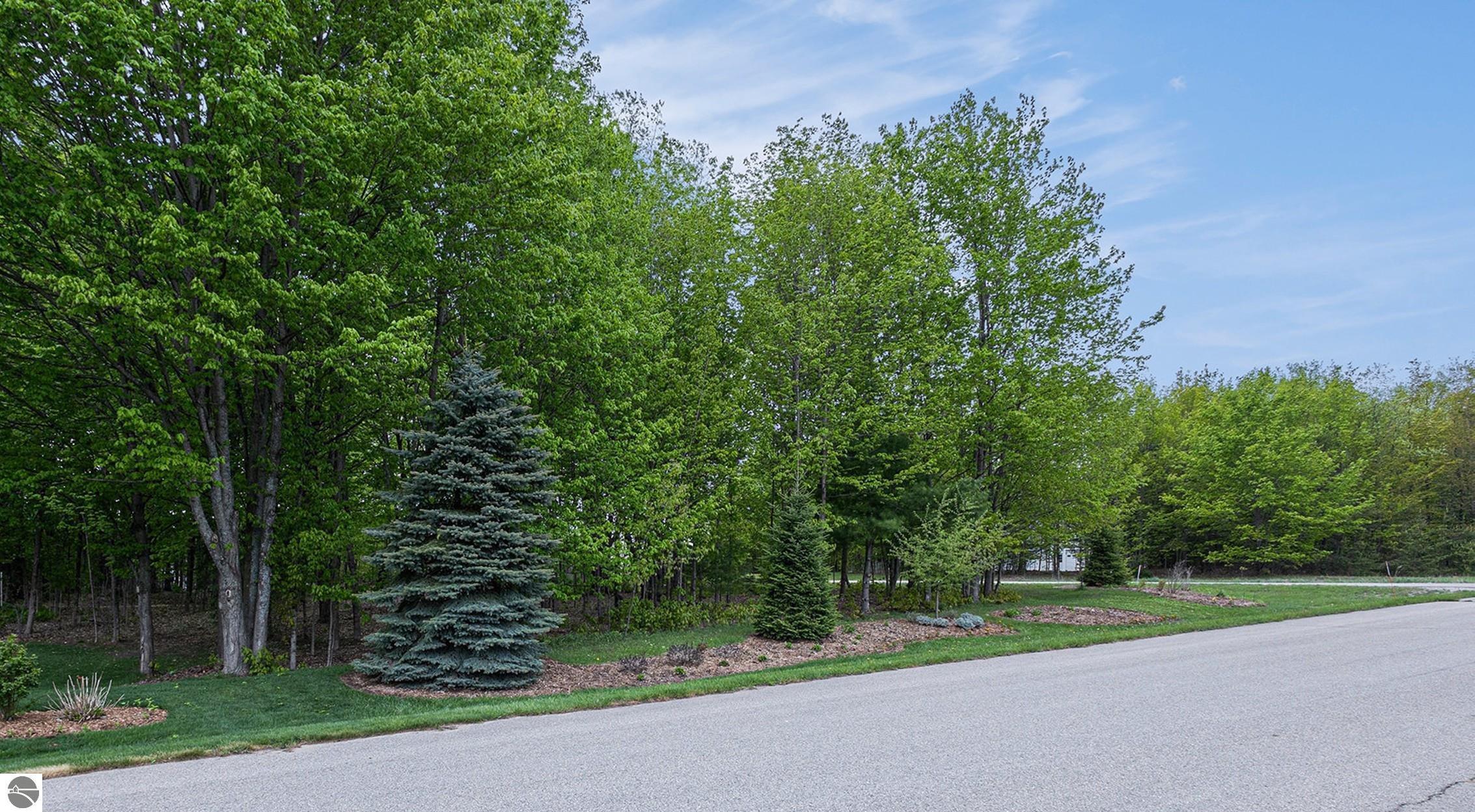 Image 47