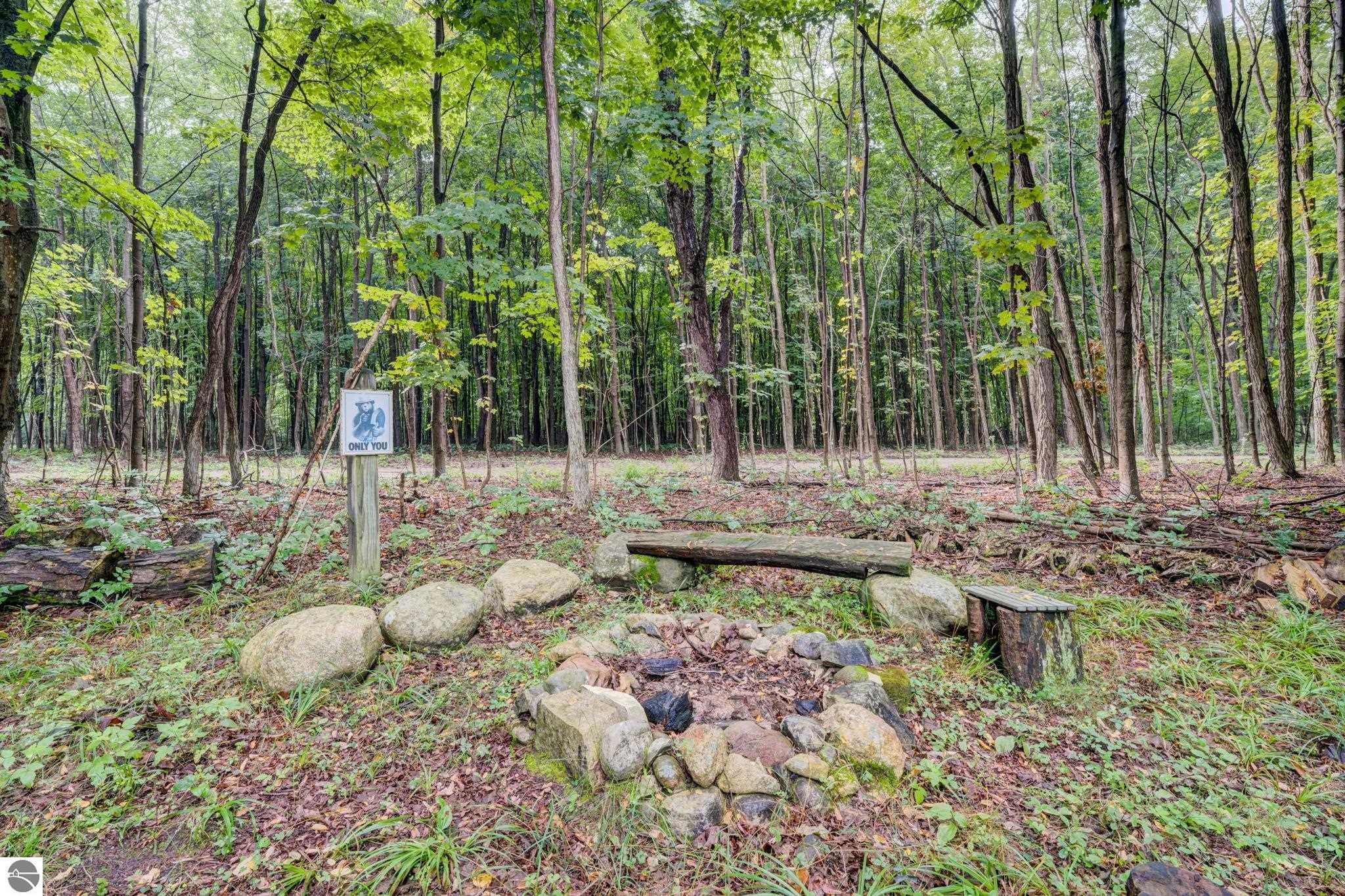 Image 67