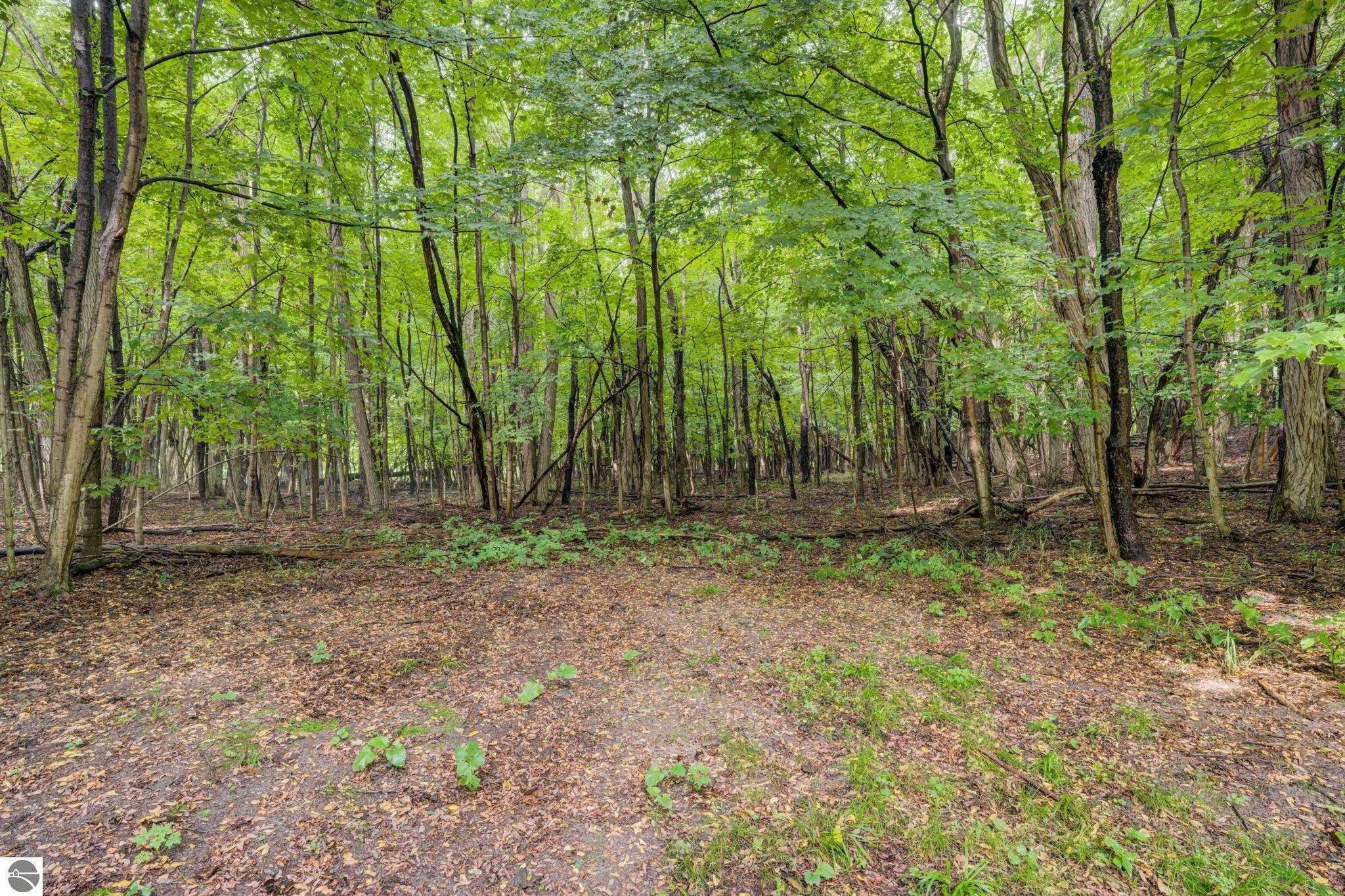Image 68
