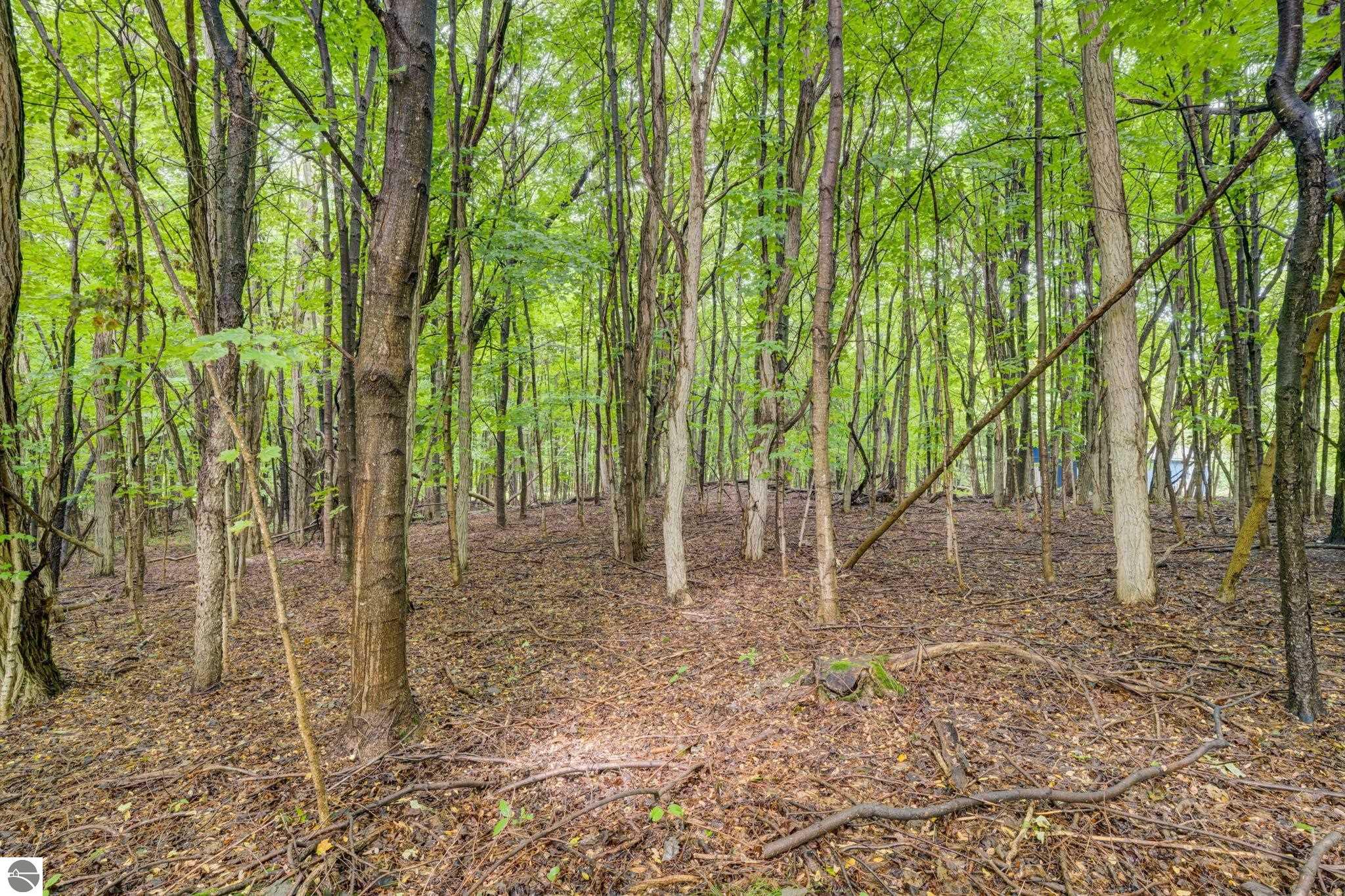 Image 69