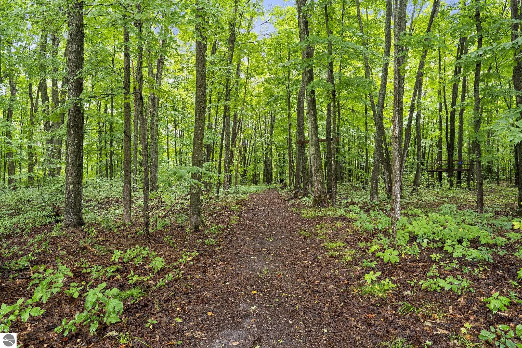 Image 68