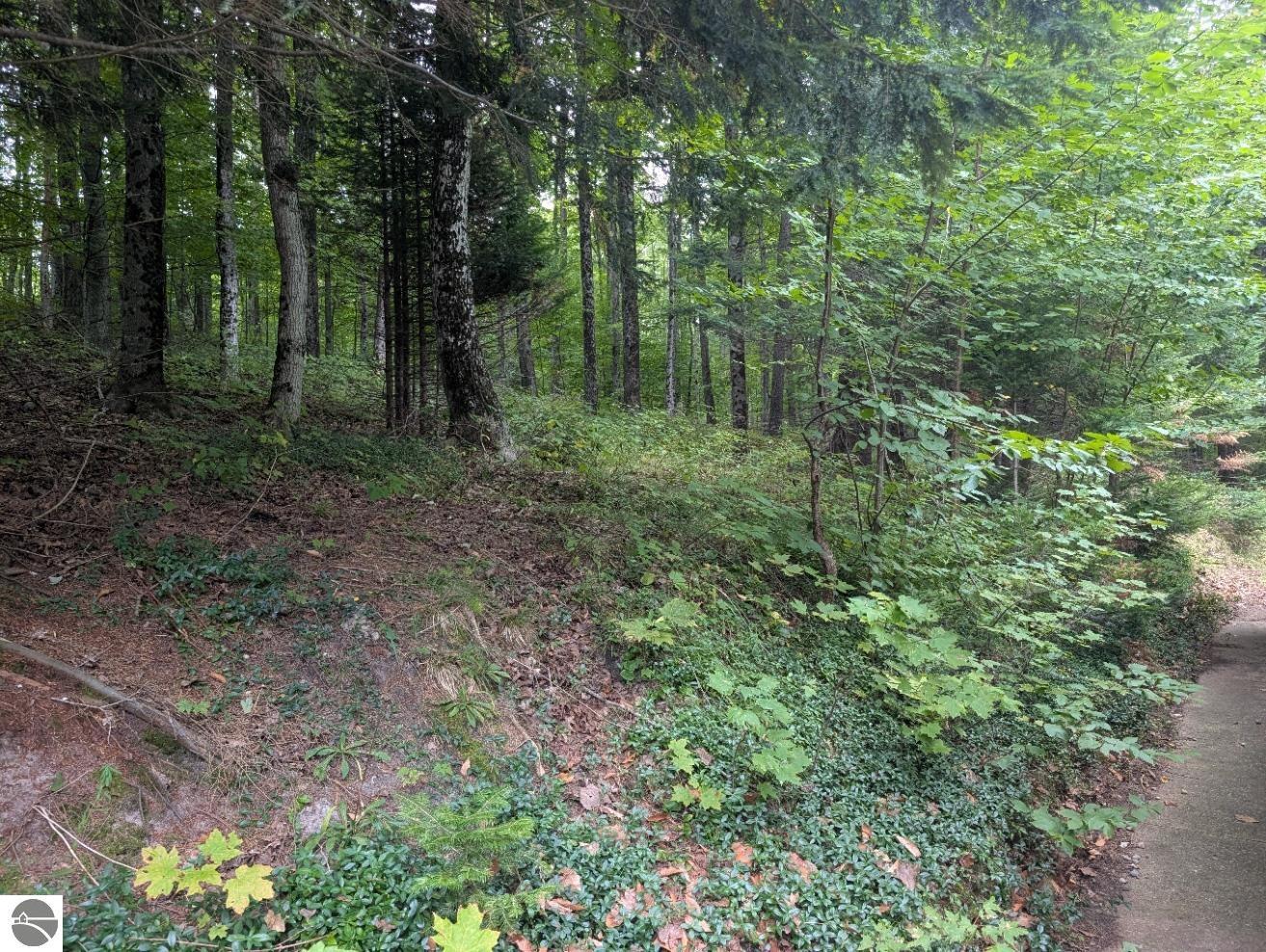 Image 41