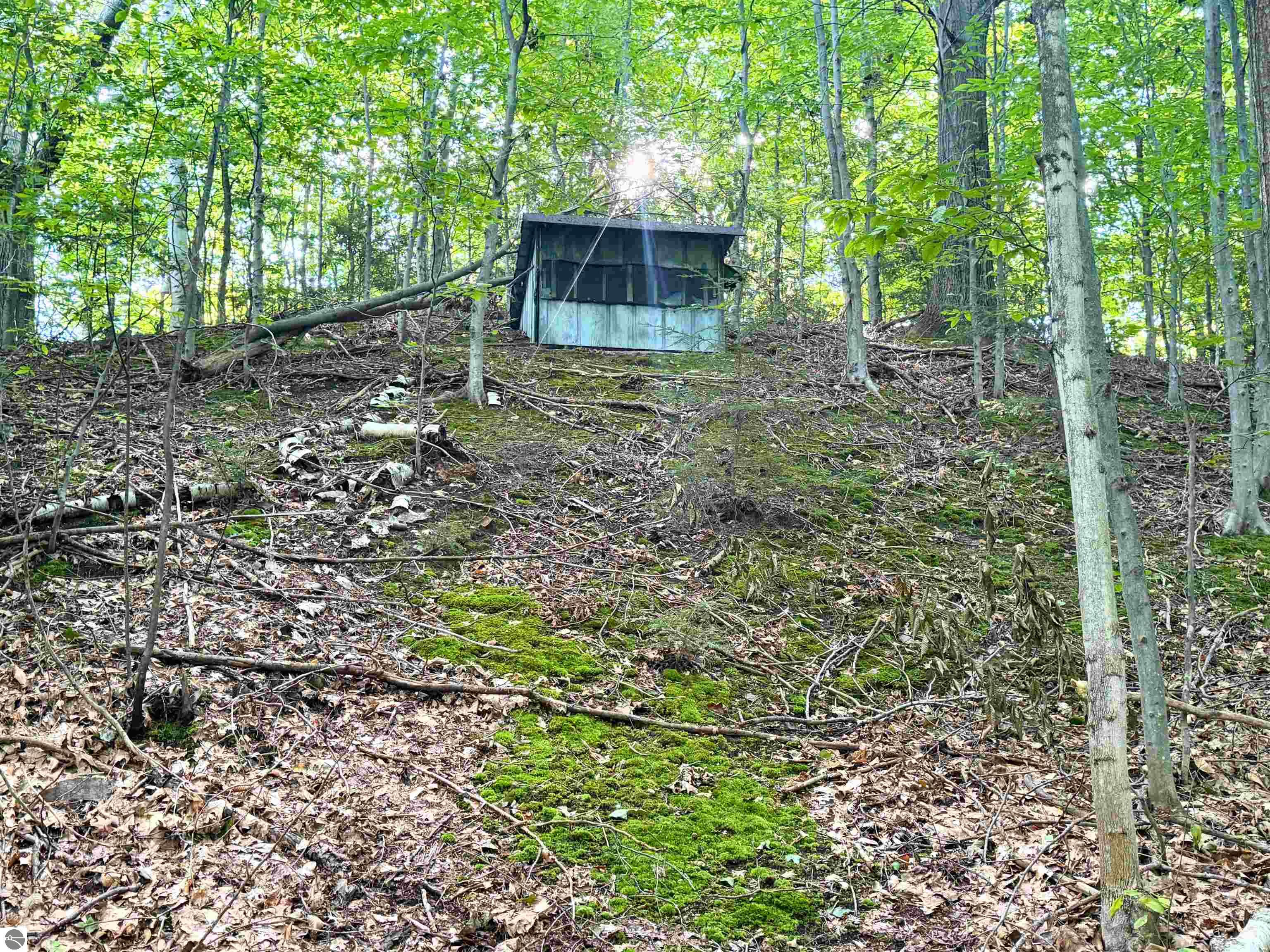 Image 12