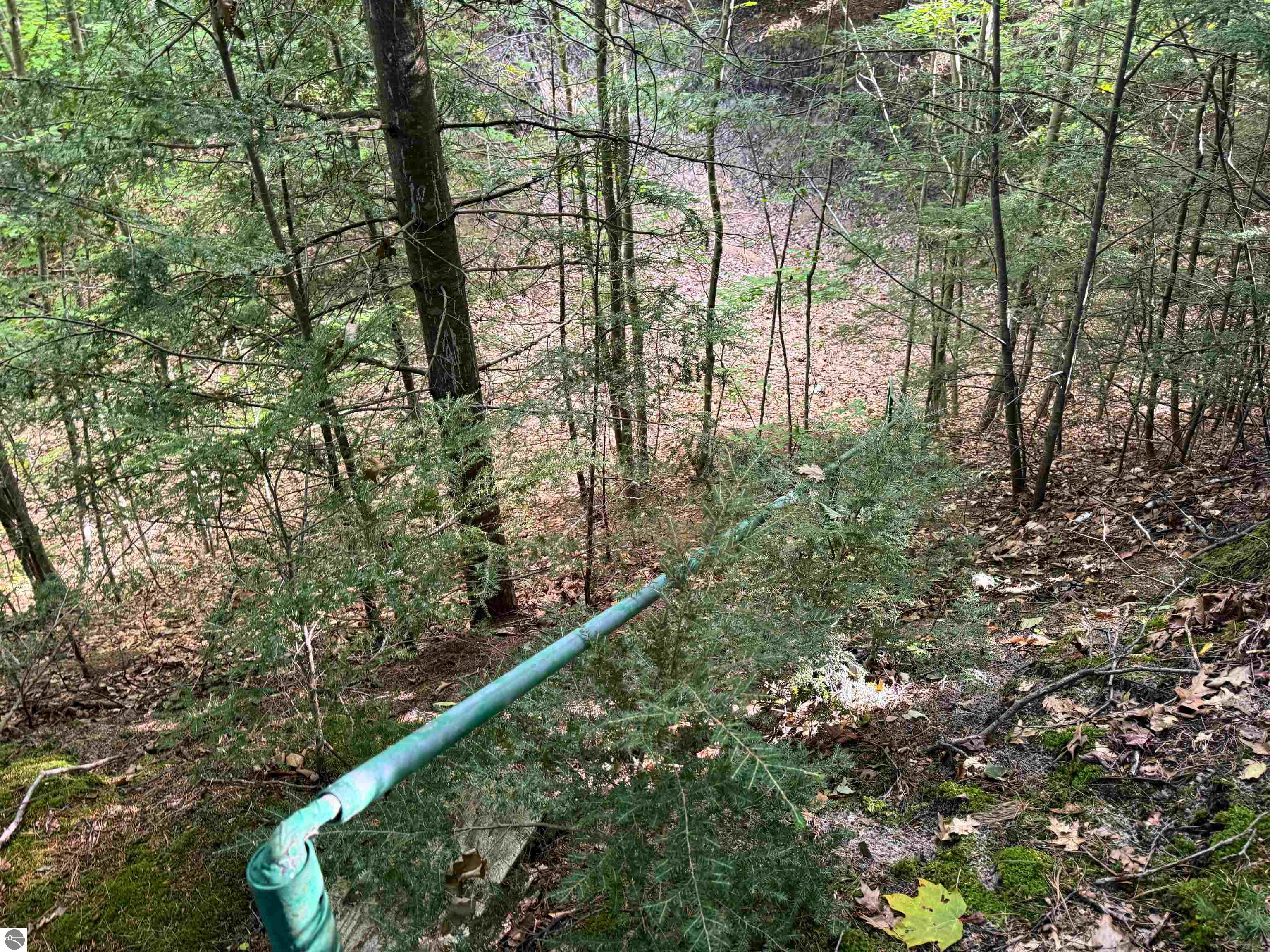 Image 13