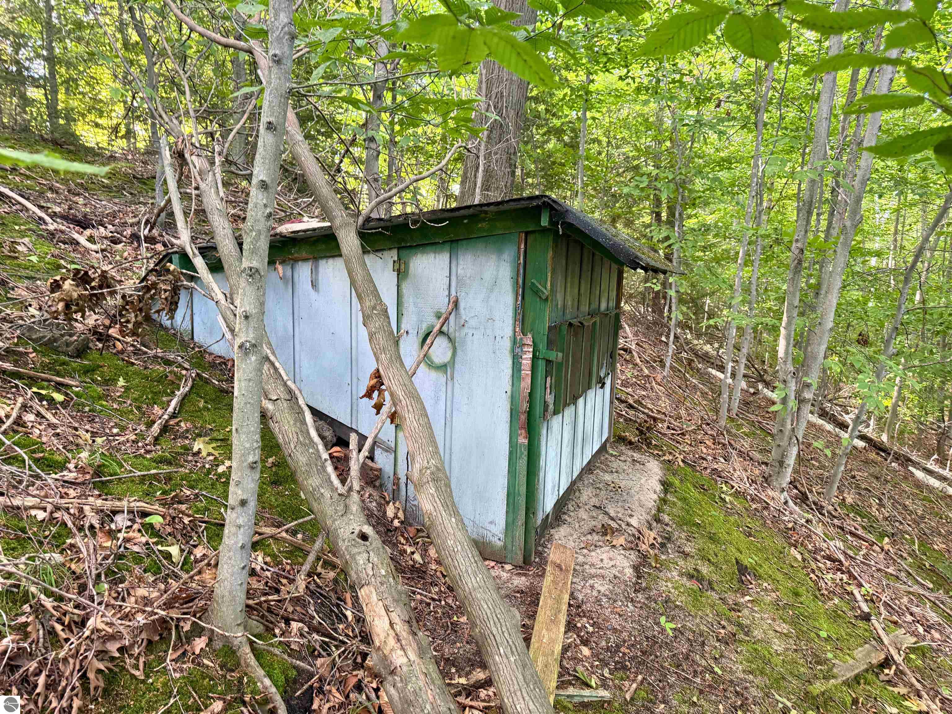 Image 14