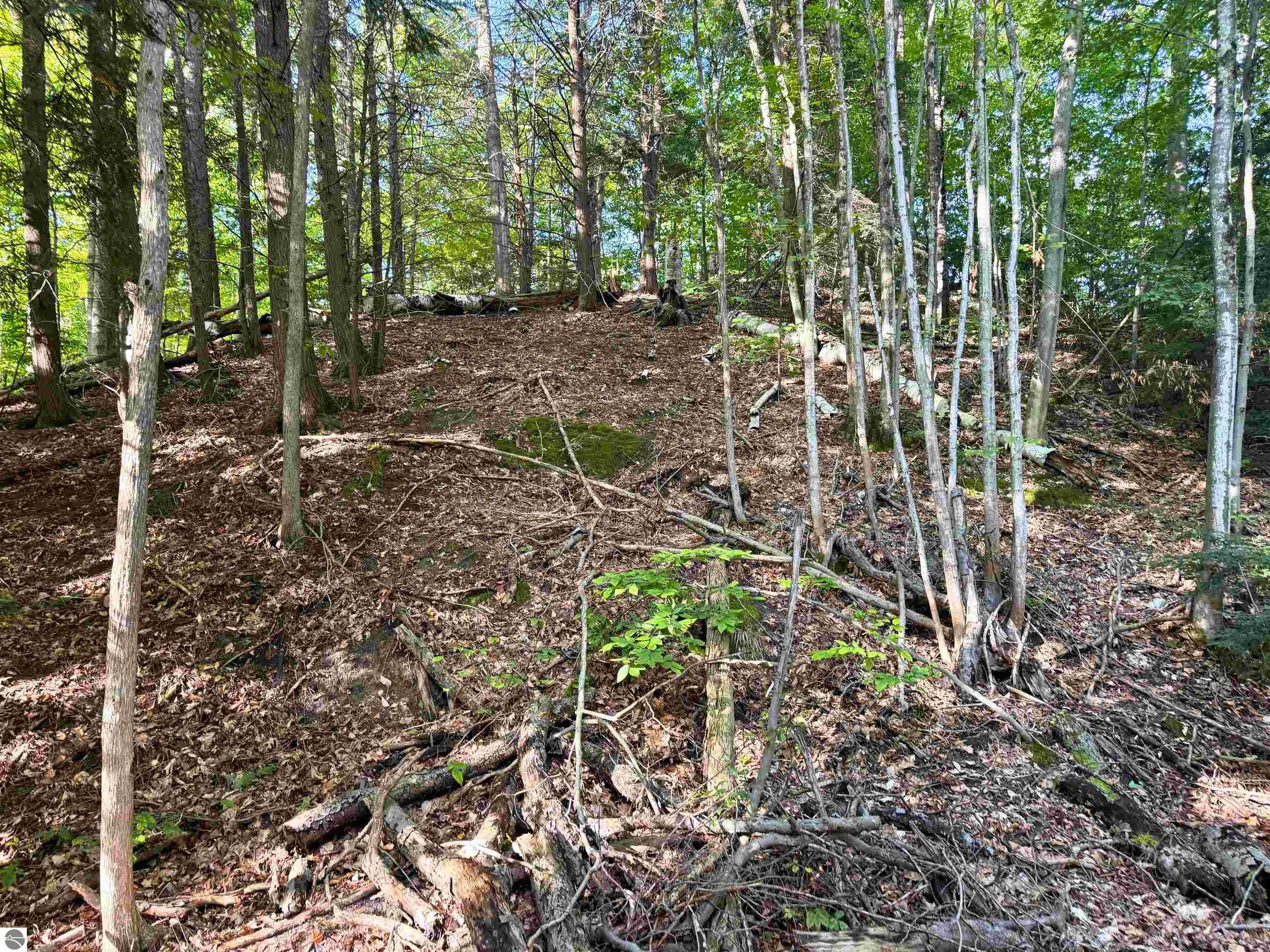Image 15