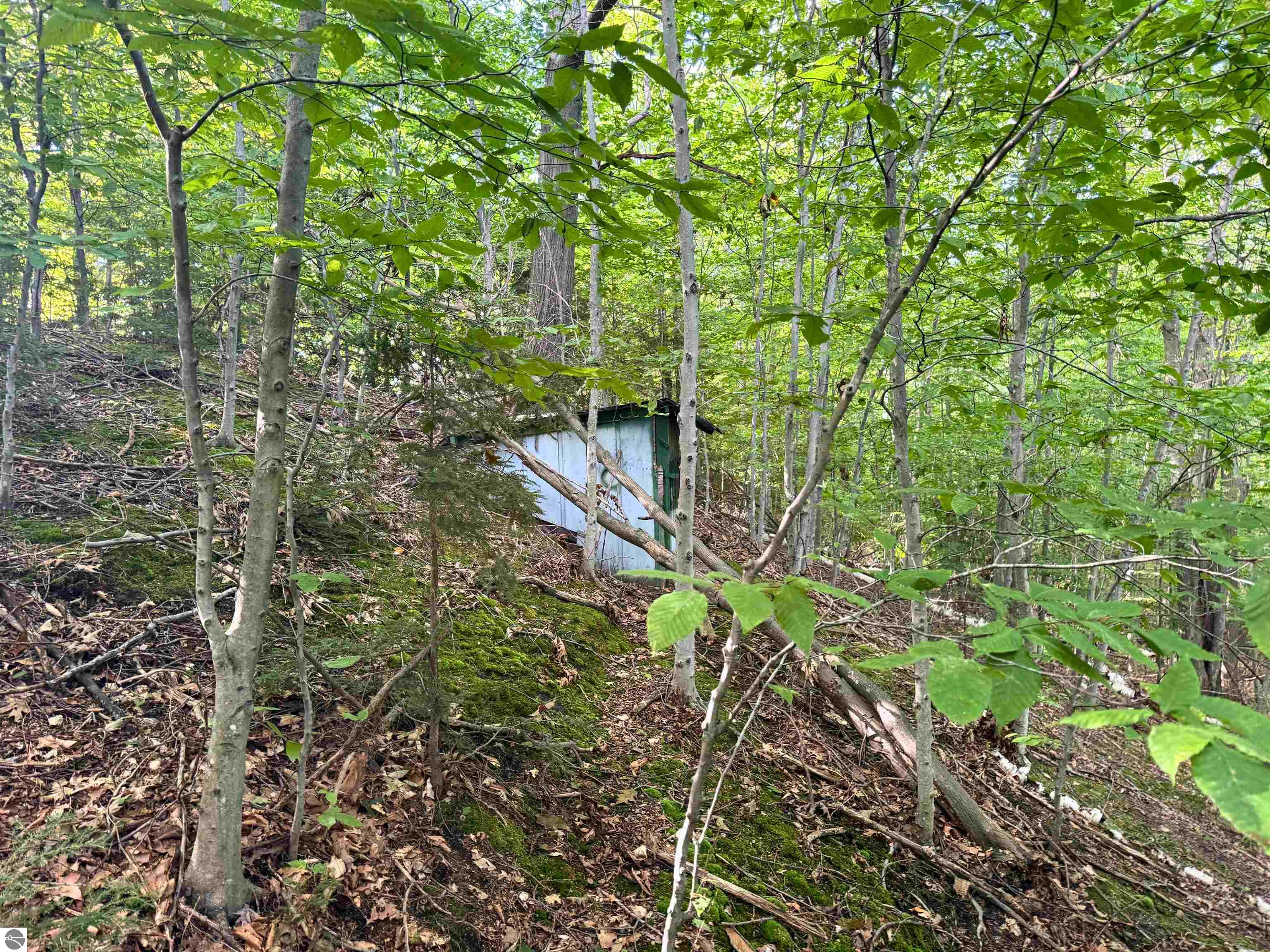 Image 21