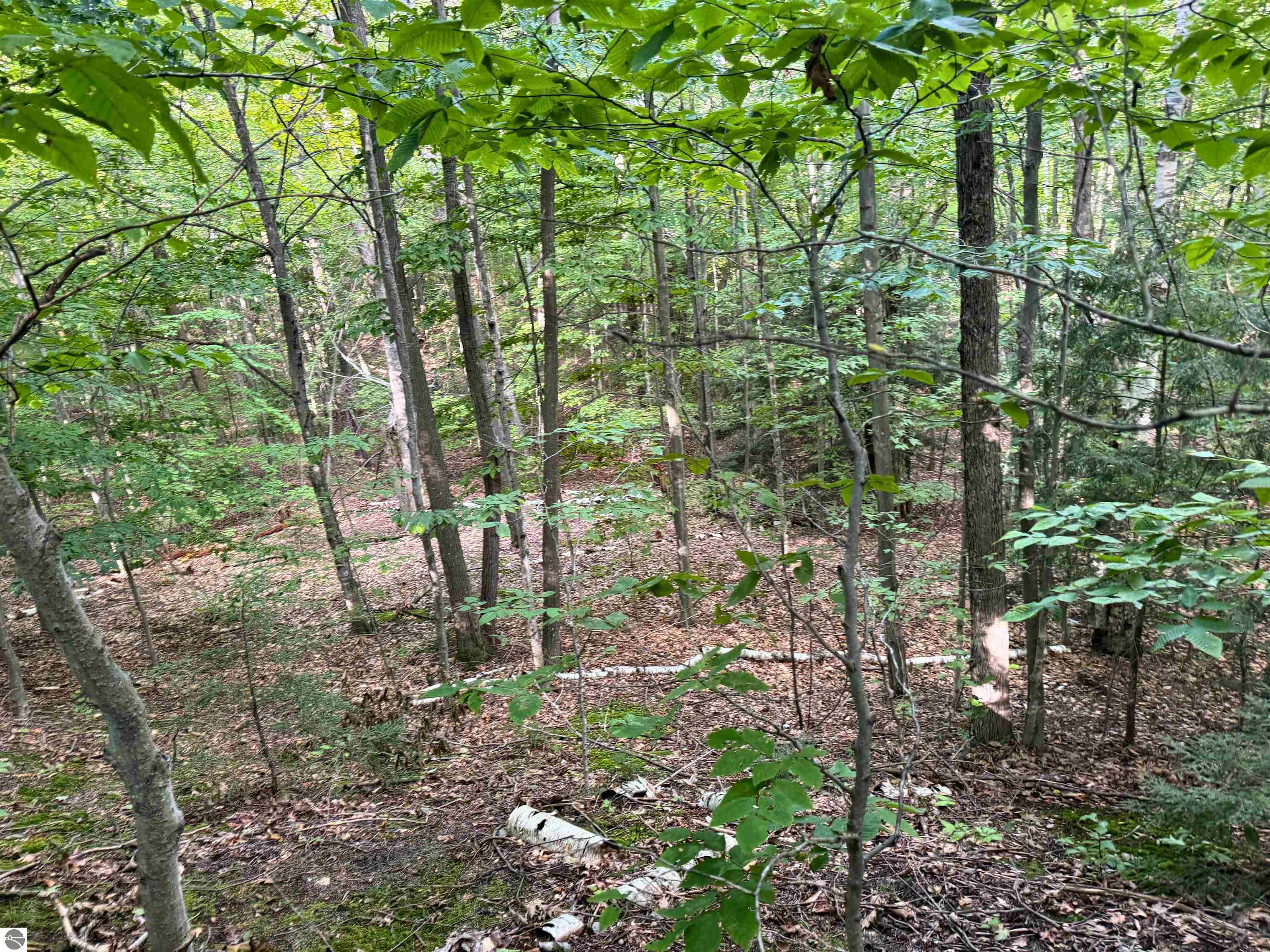 Image 23