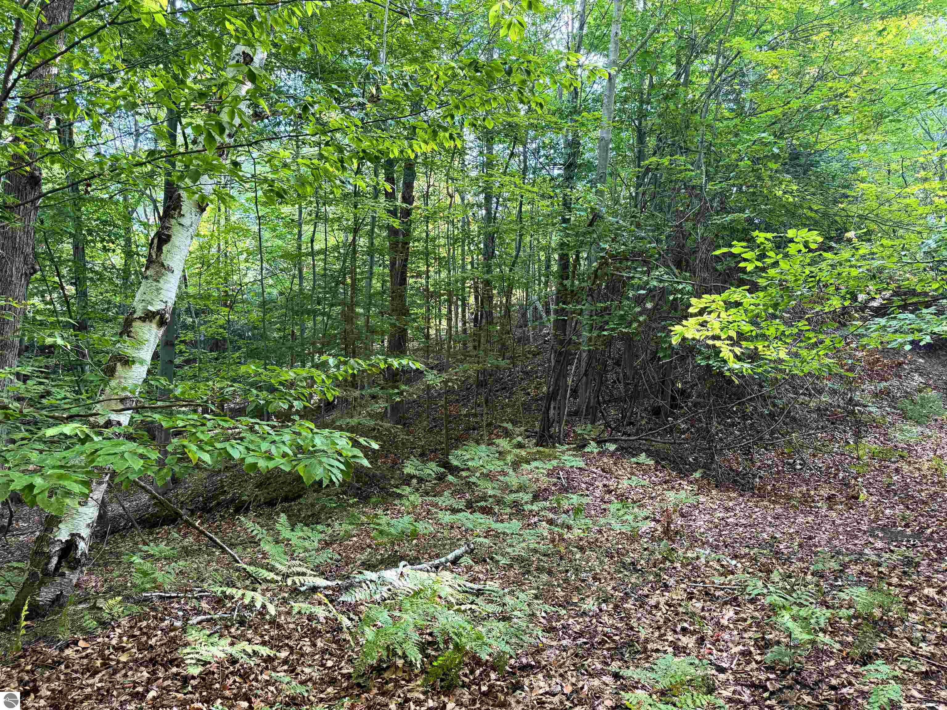 Image 28