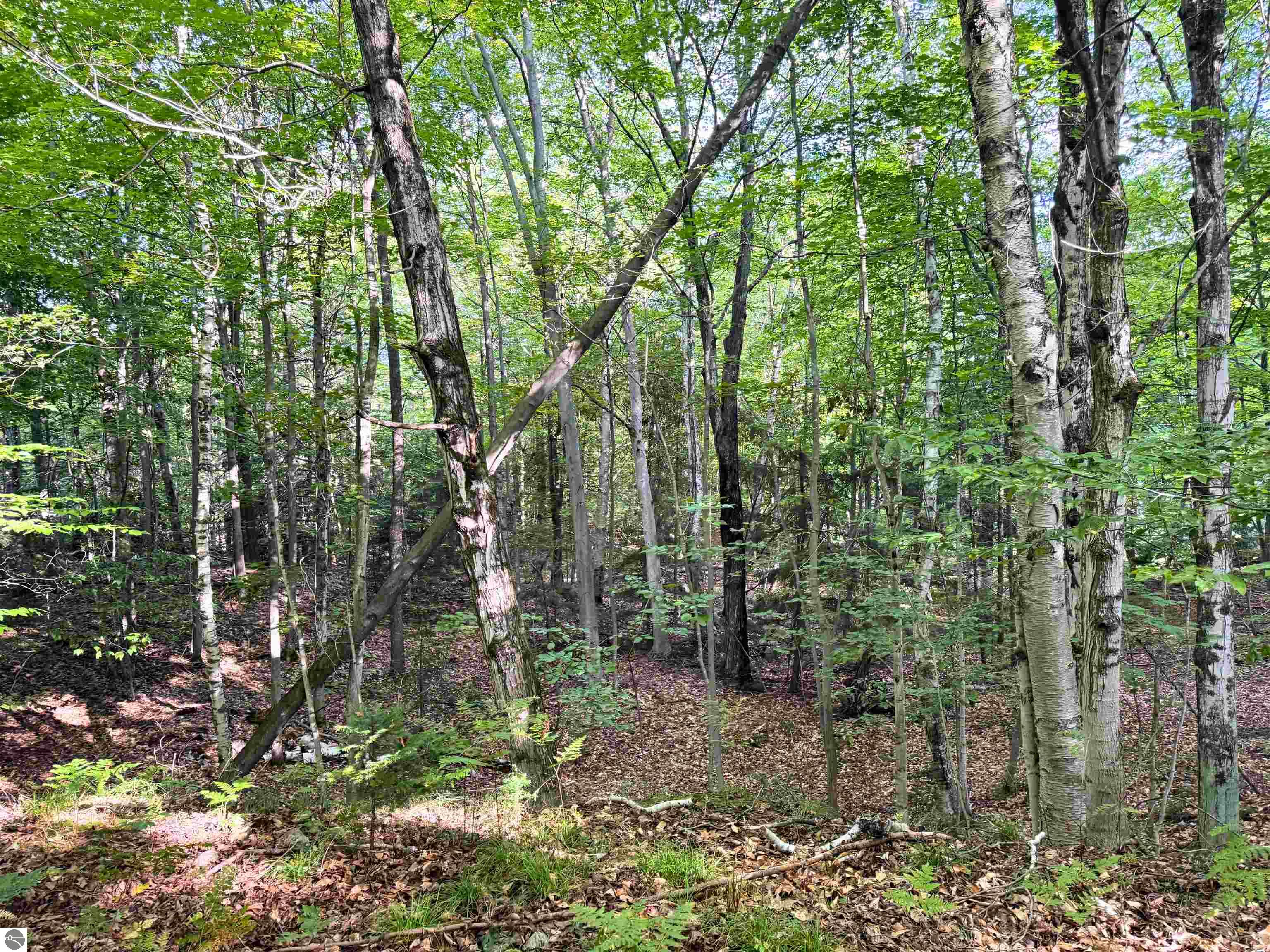 Image 36