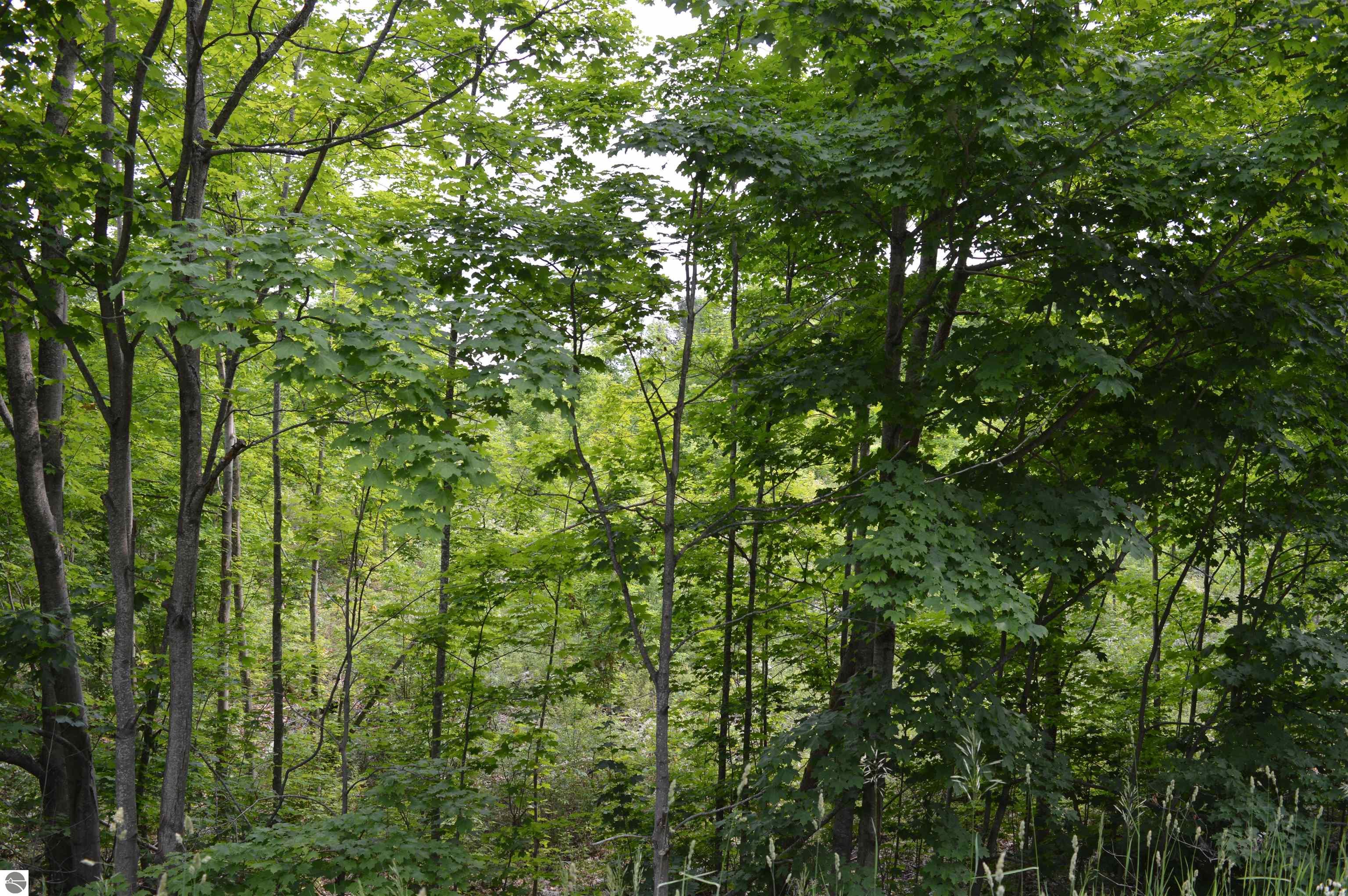 Image 14