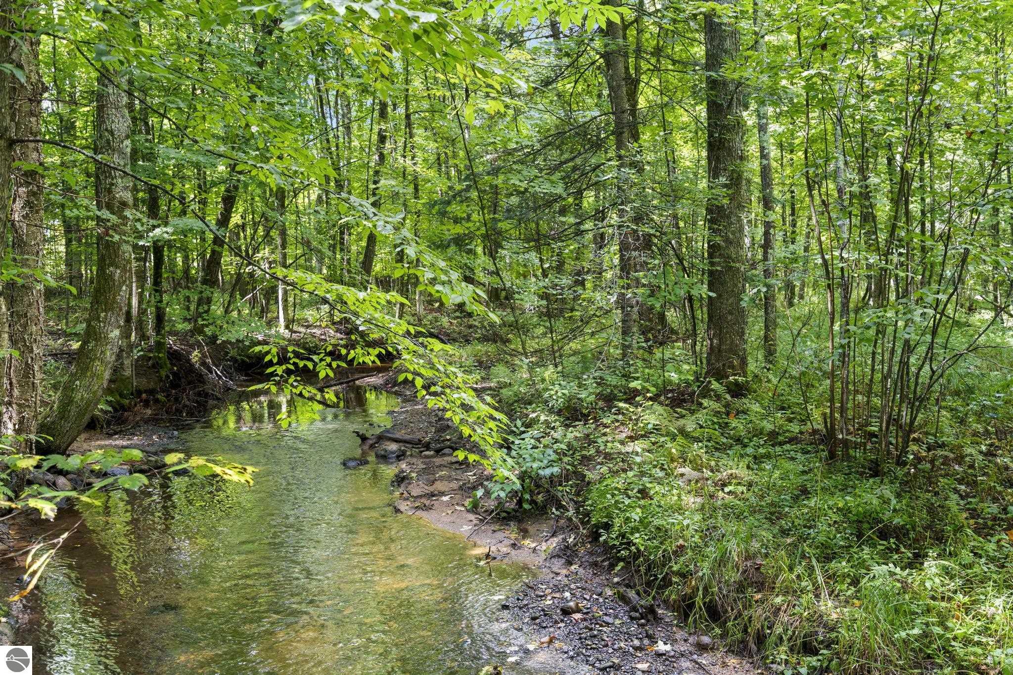 Image 67