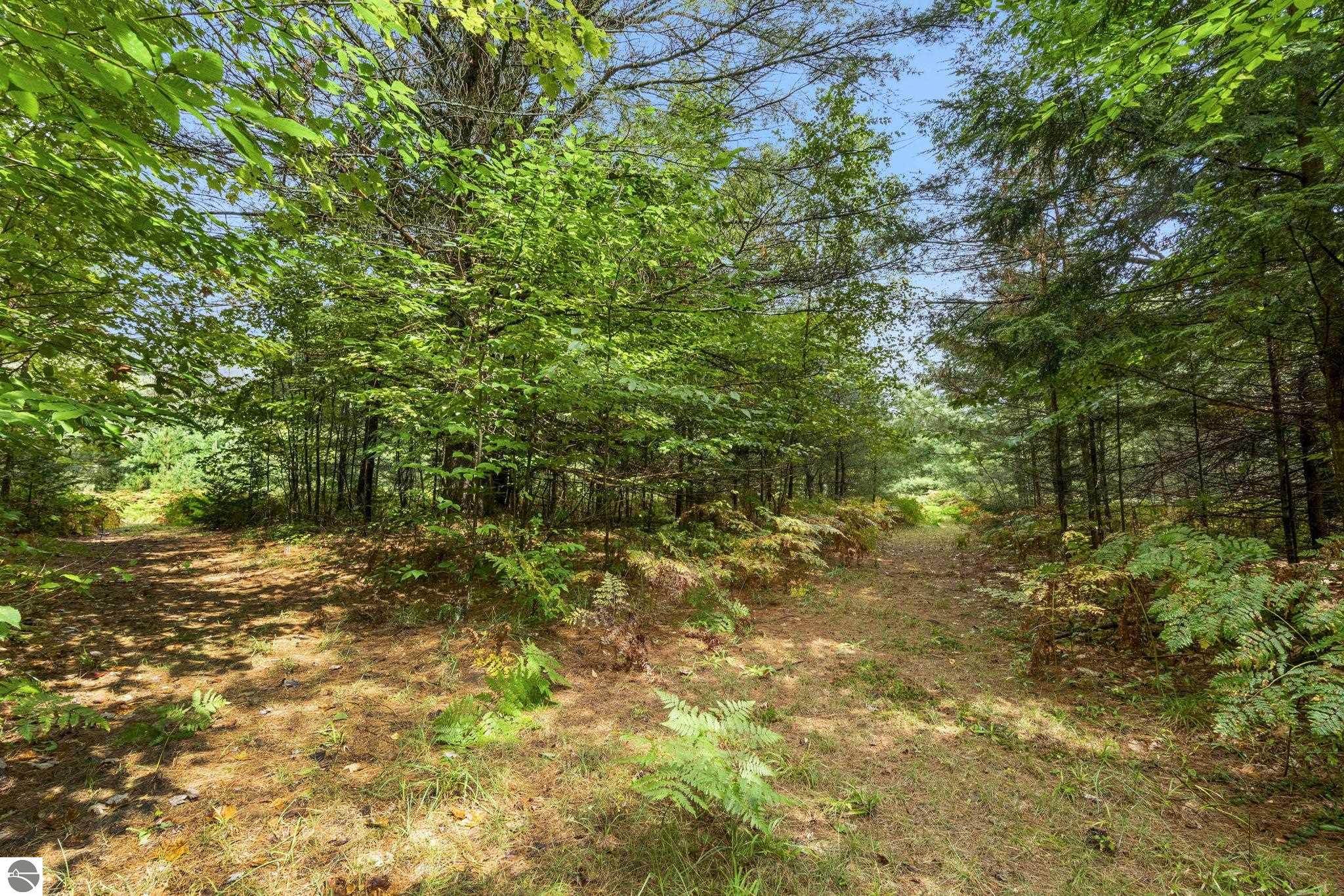 Image 68