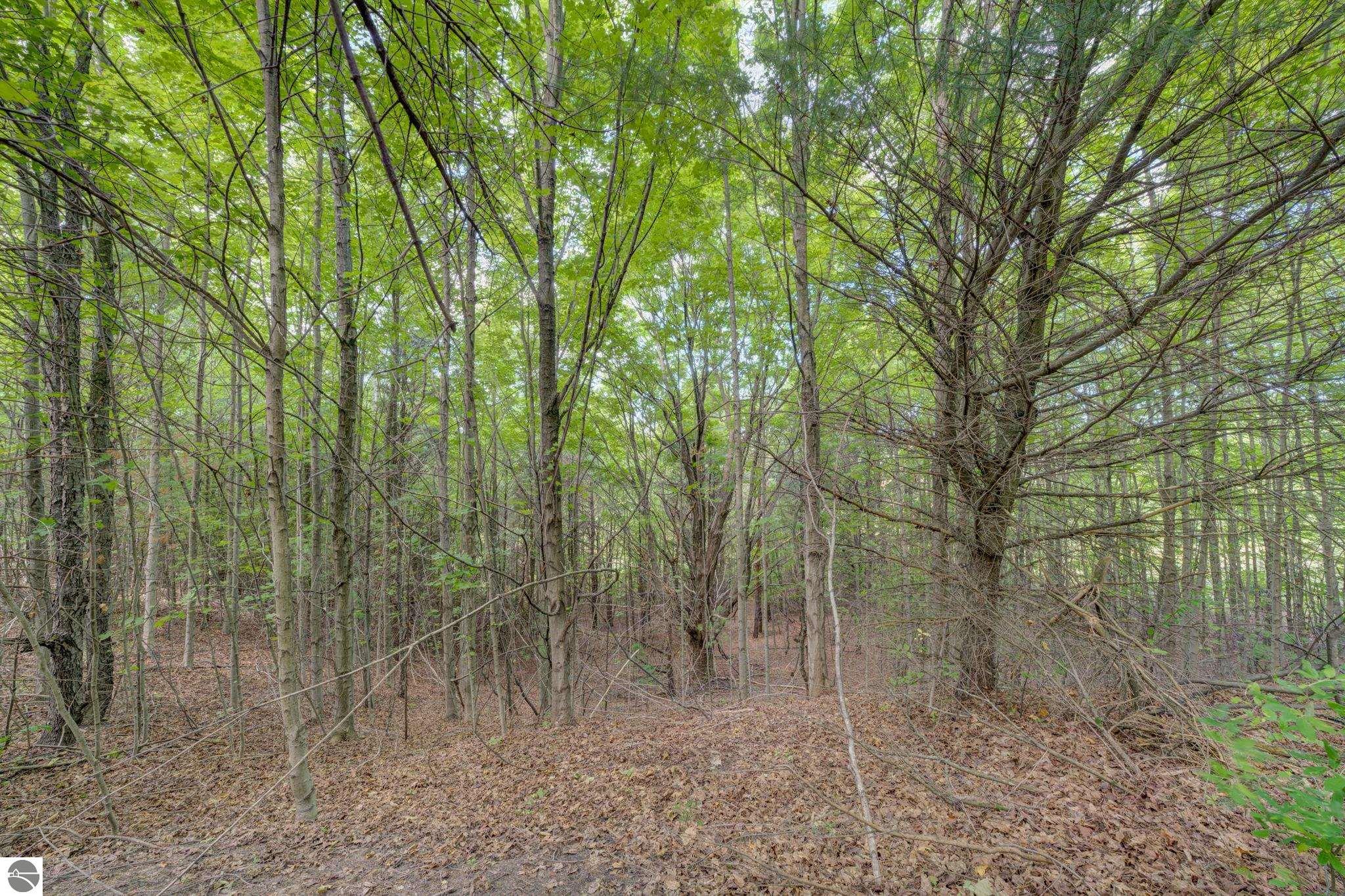 Image 13