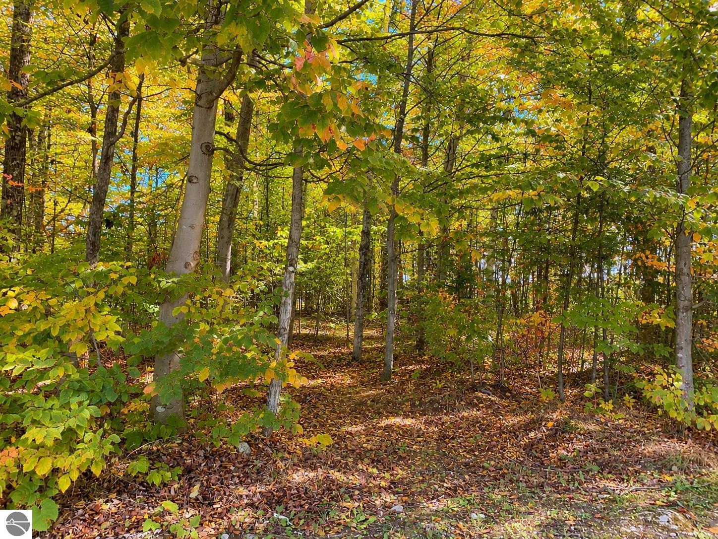 000 Spruceview Lane, Mackinac Island MI 49757, Mackinac Island, MI, 49757 — photo 2