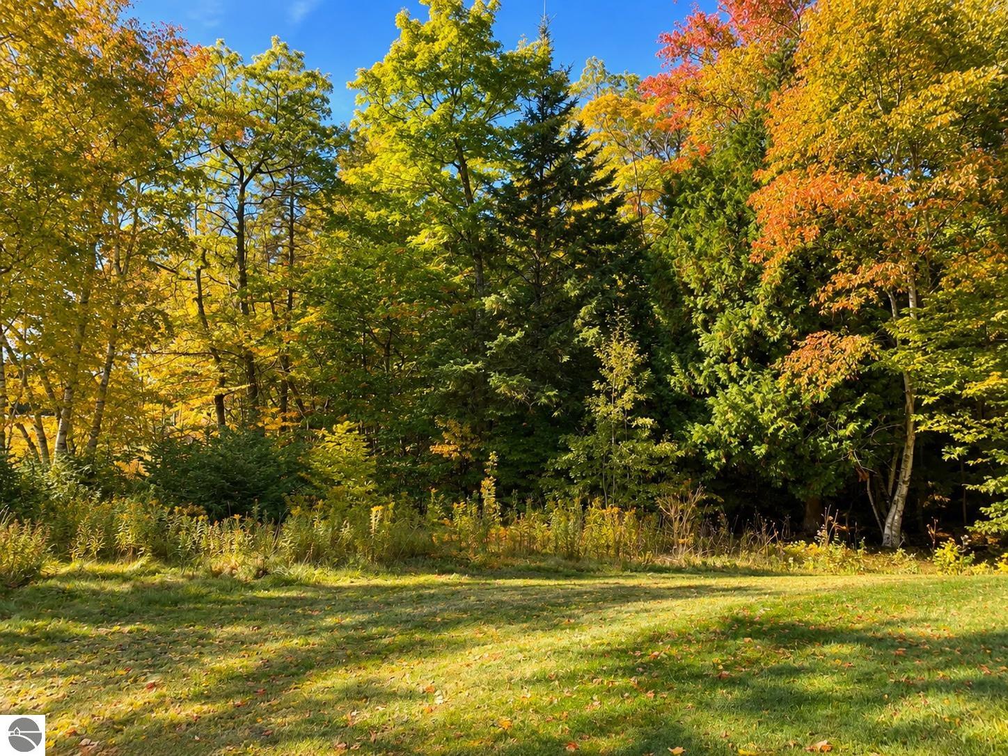 3930 Spruceview Lane, Mackinac Island MI 49797, Mackinac Island, MI, 49797 — photo 5