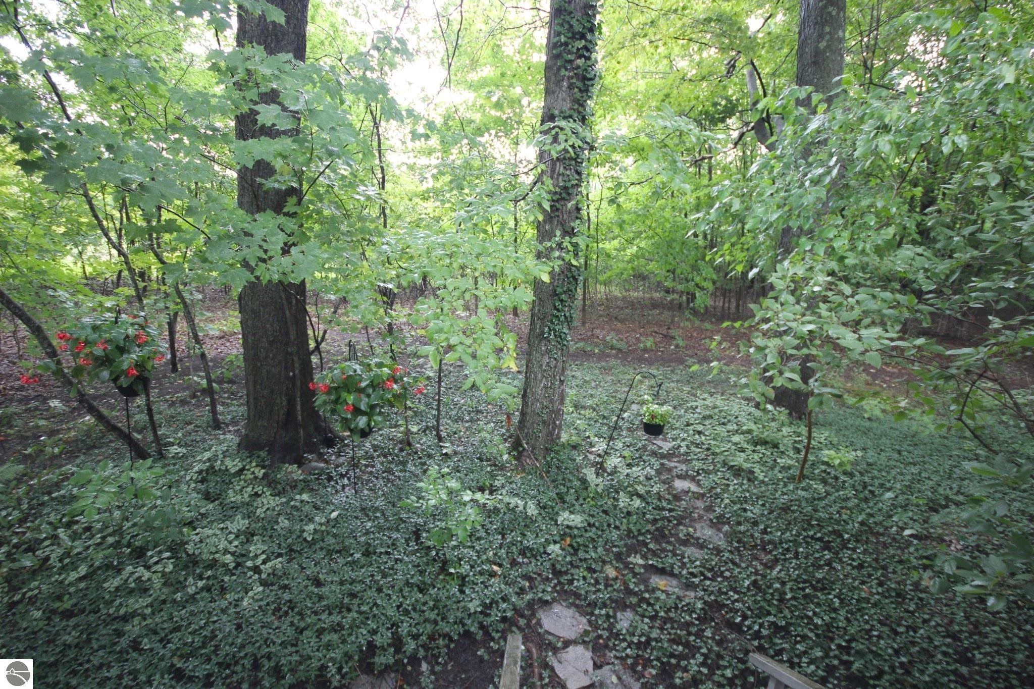 Image 38