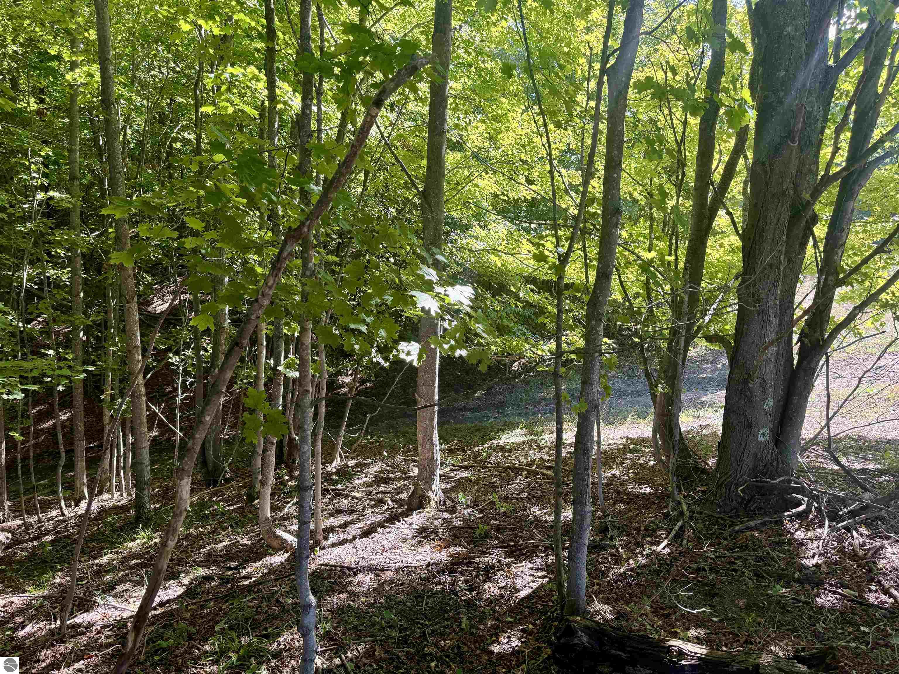 Image 14