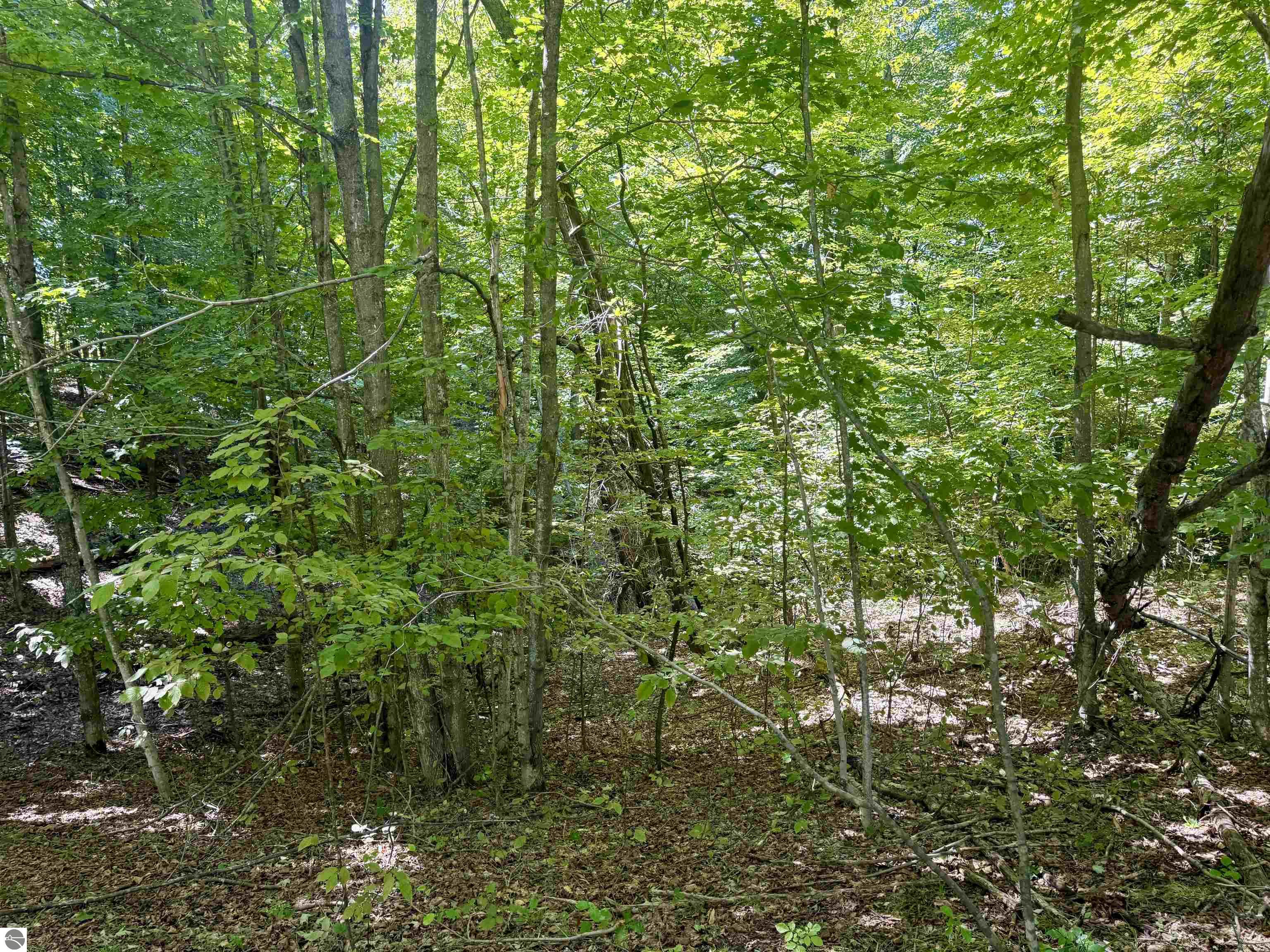 Image 18