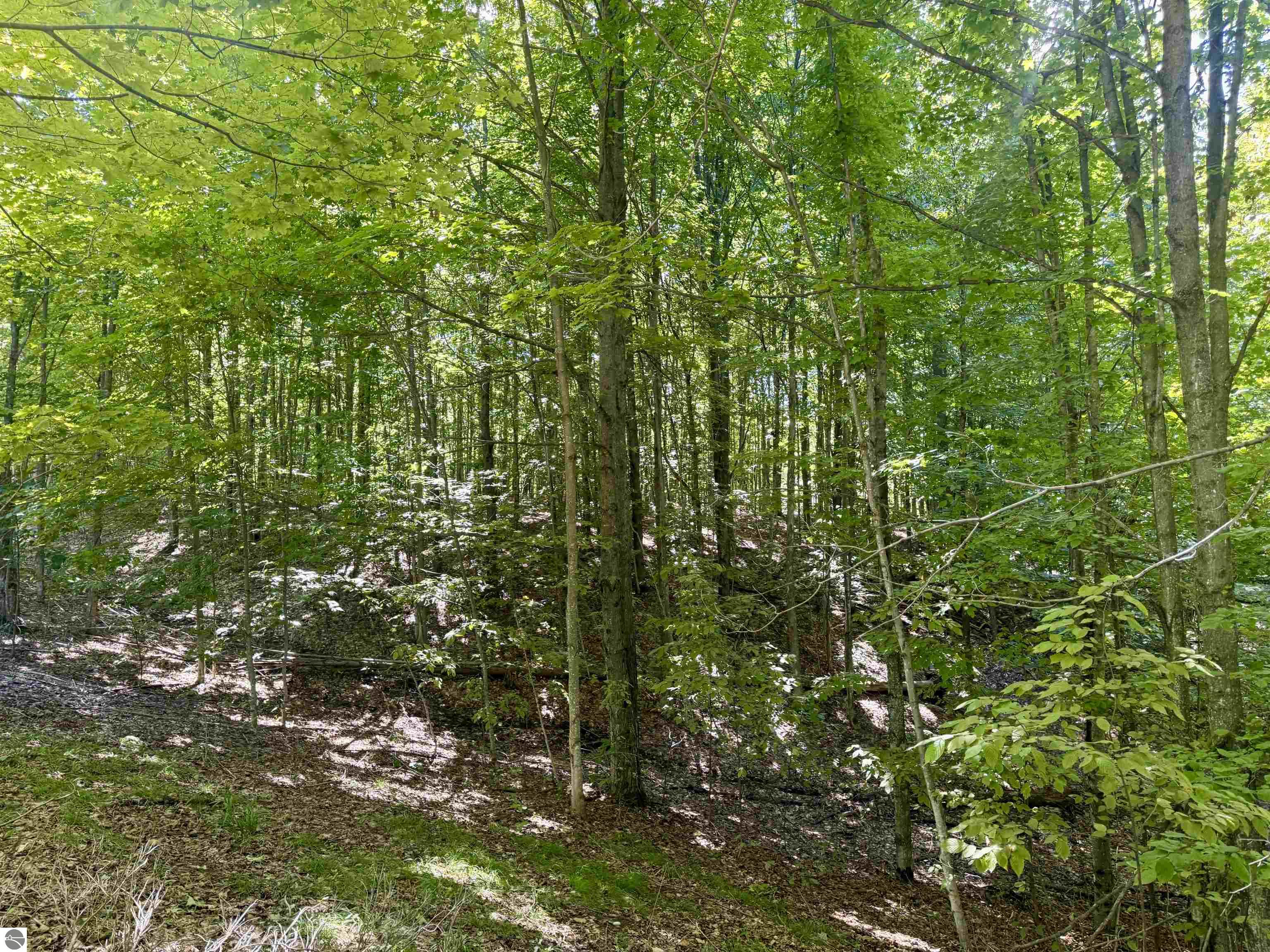 Image 19