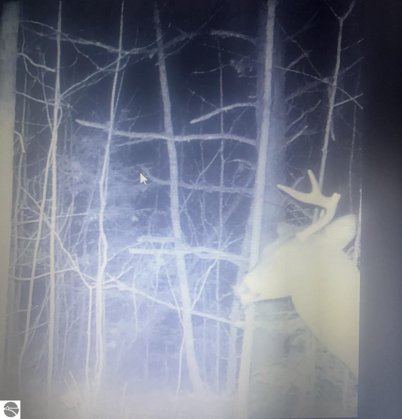 Image 35