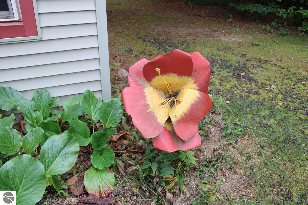 Image 18