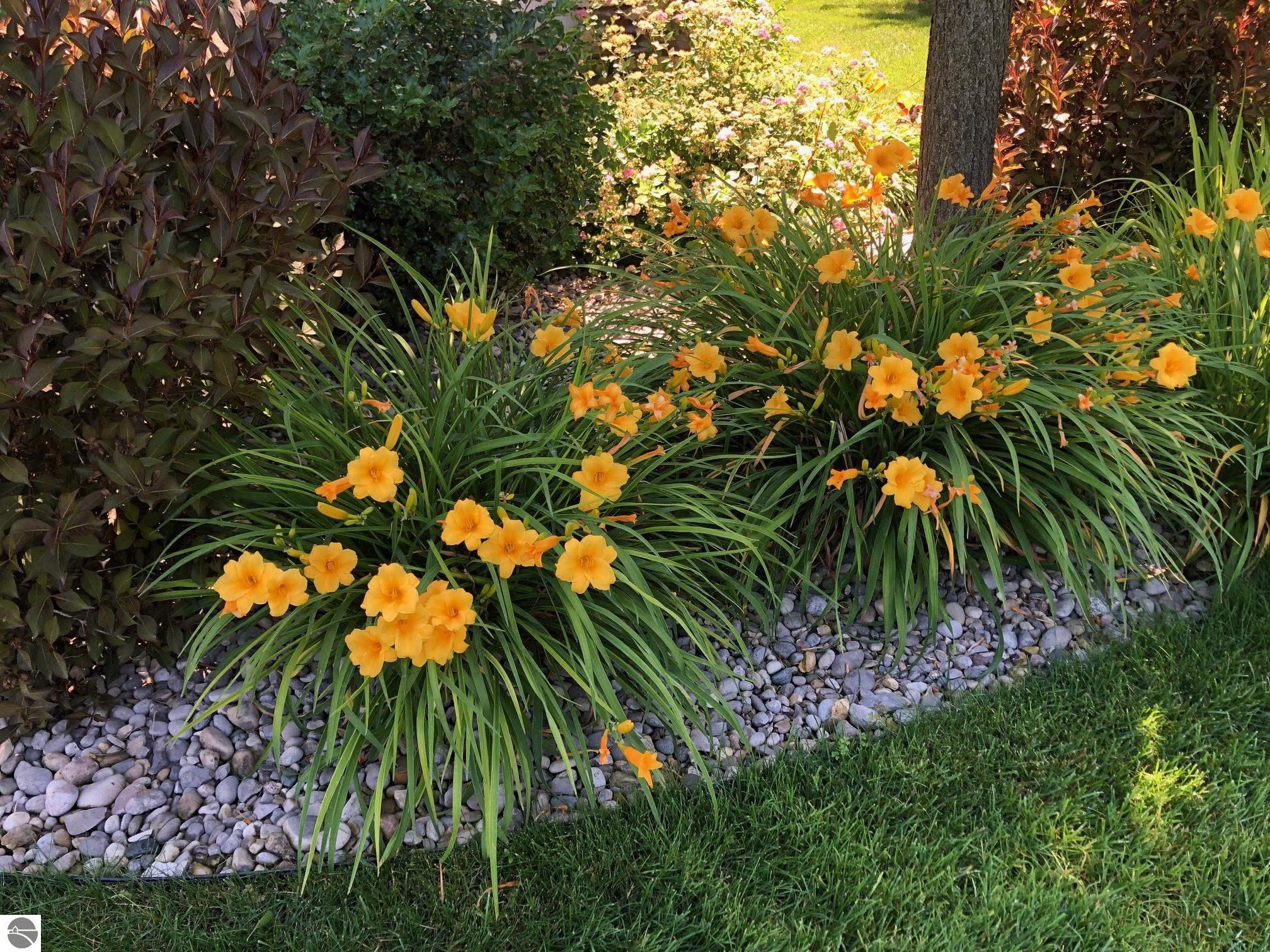 Image 13