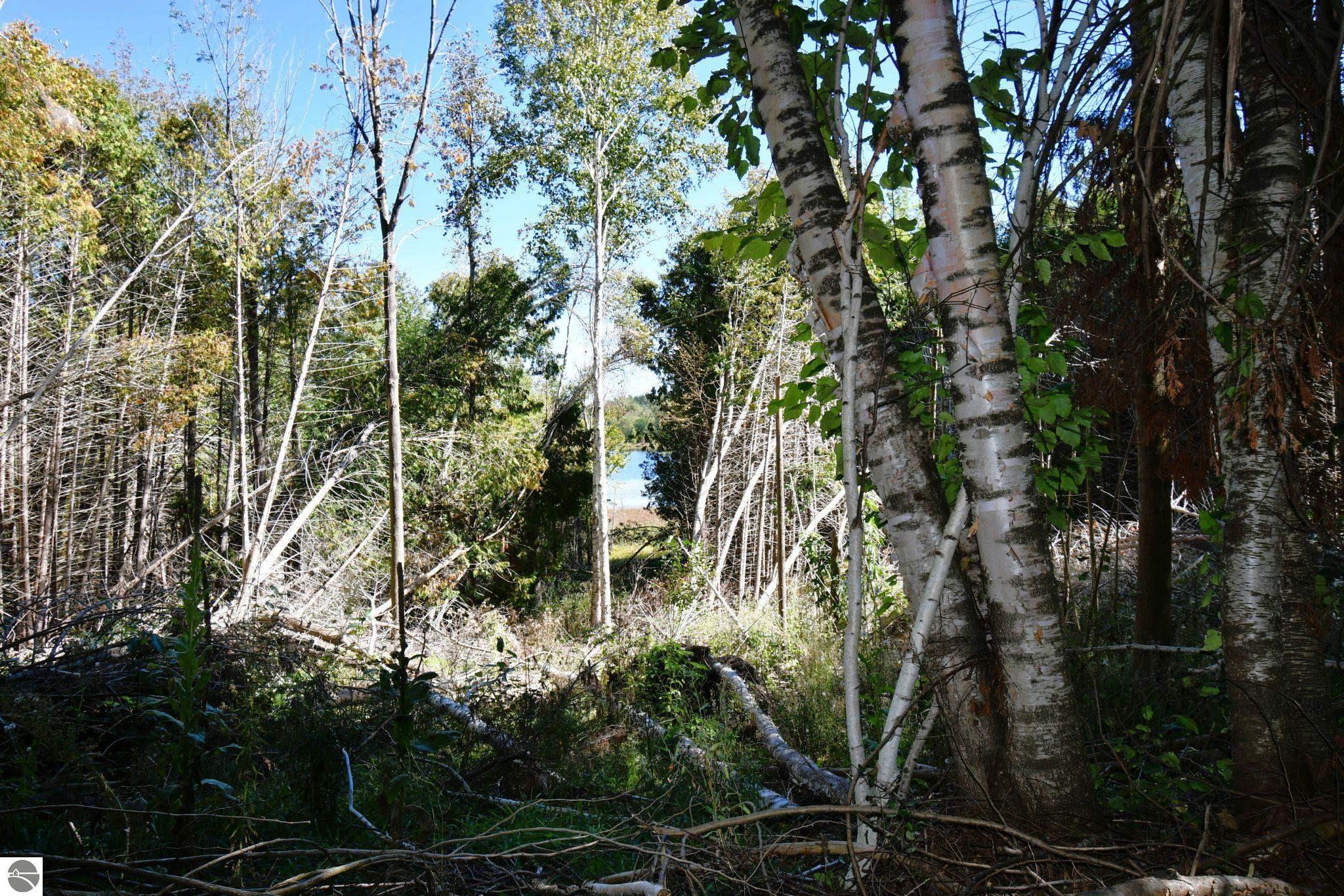 Image 38