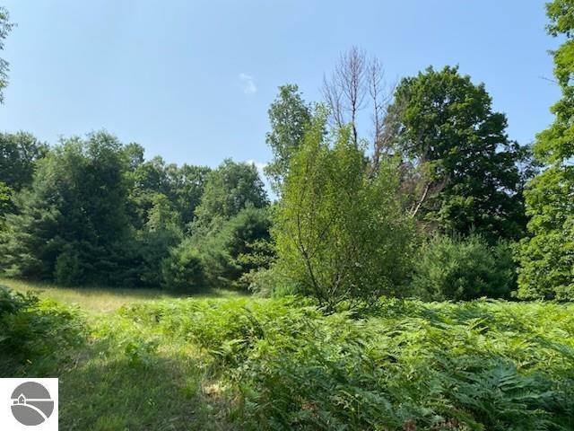 Image 15