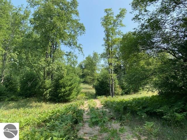 Image 16