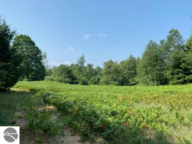 Image 18