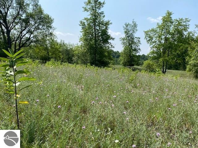 Image 40