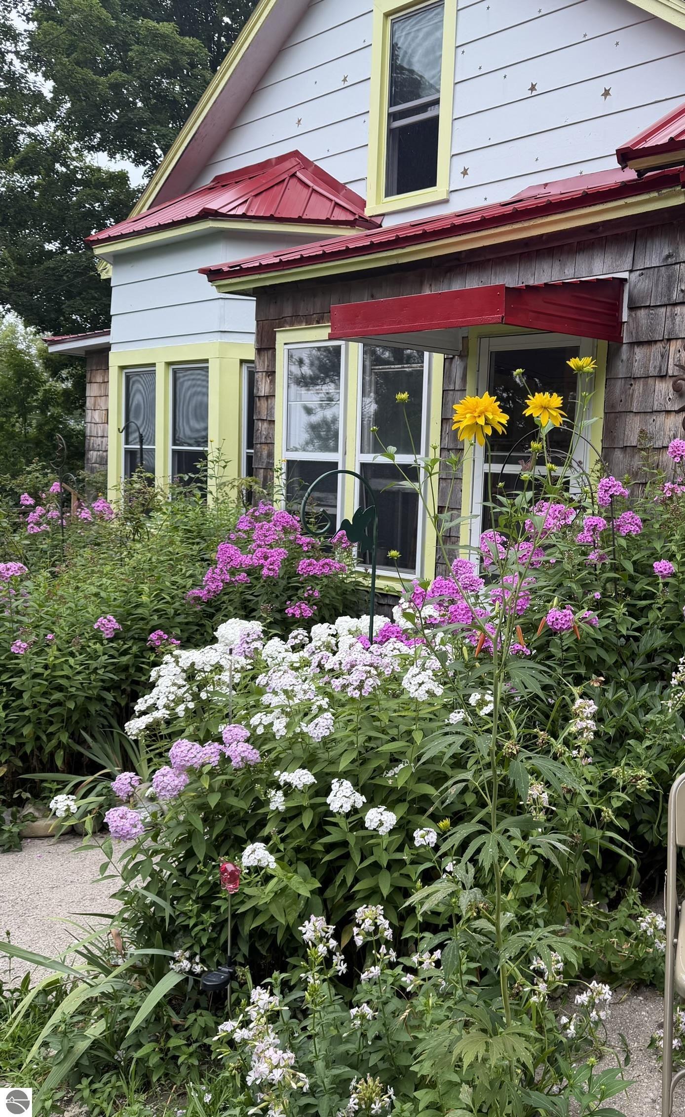 Image 30