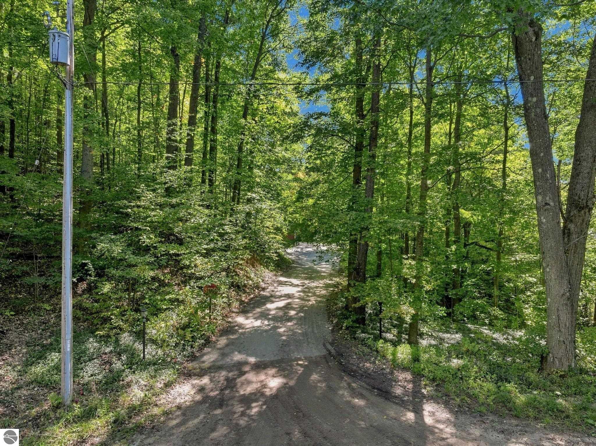 Image 43