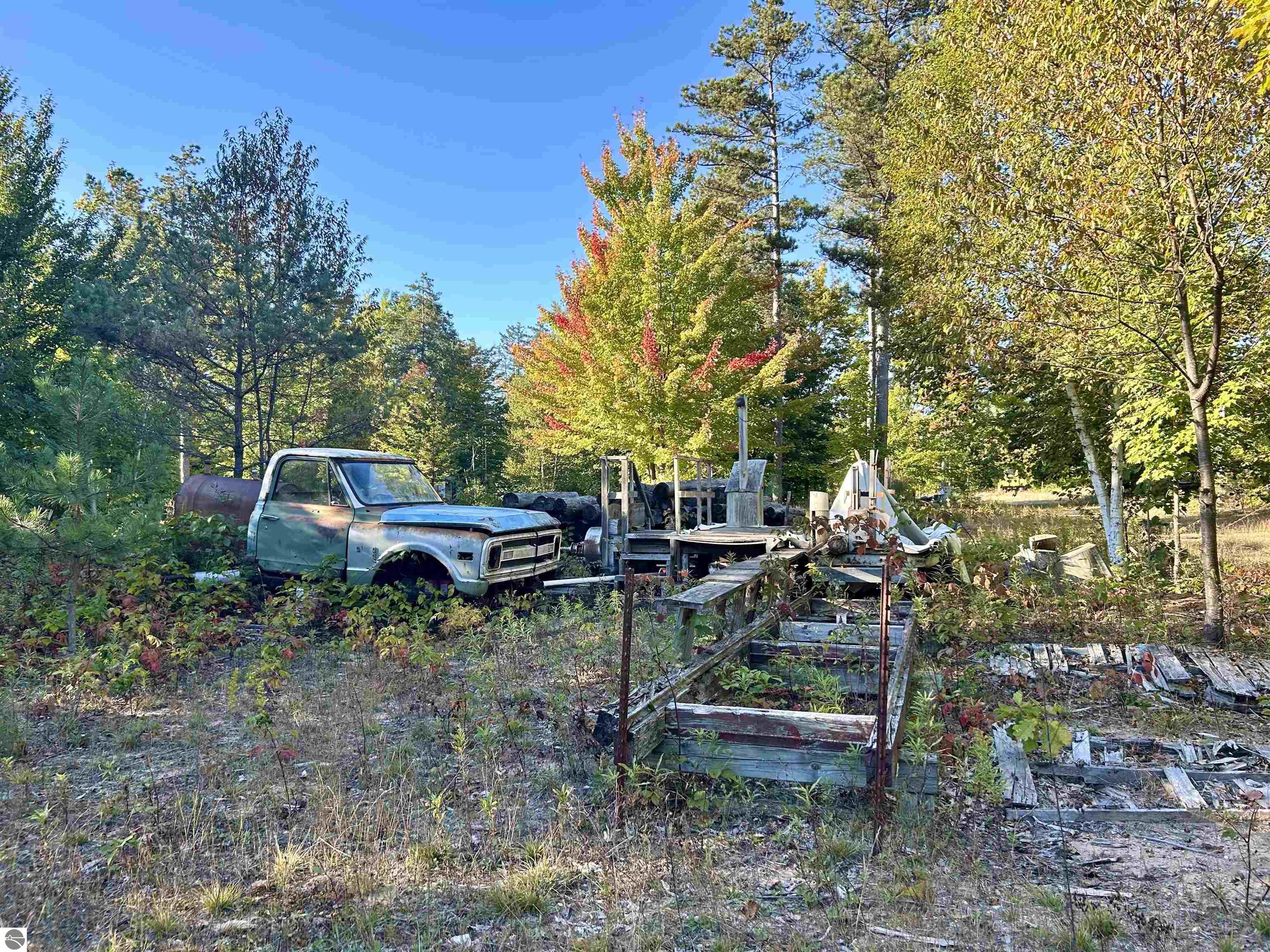 Image 12