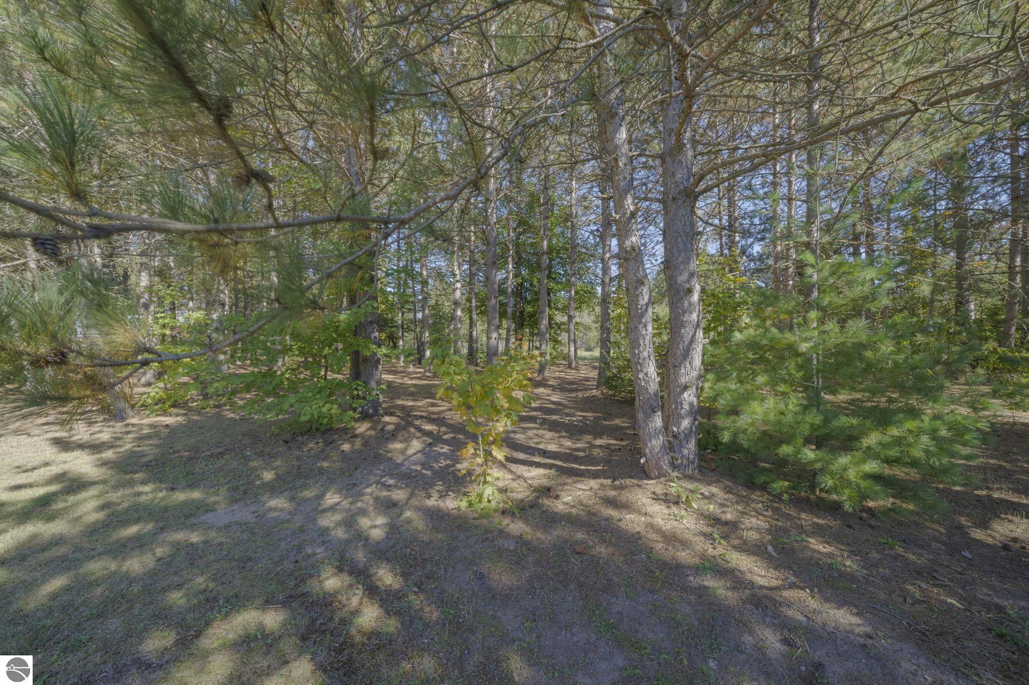 Image 56