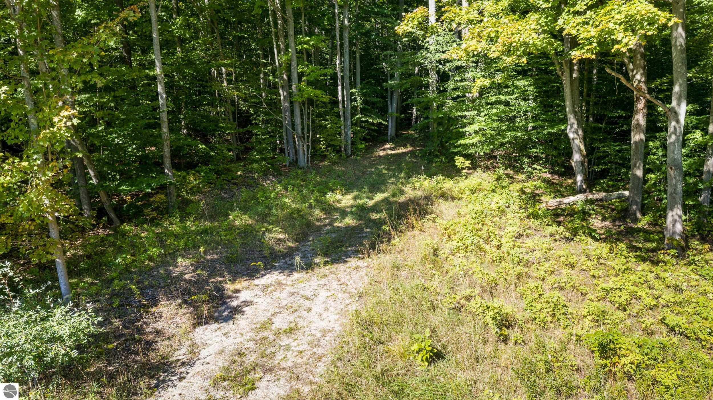 Image 13