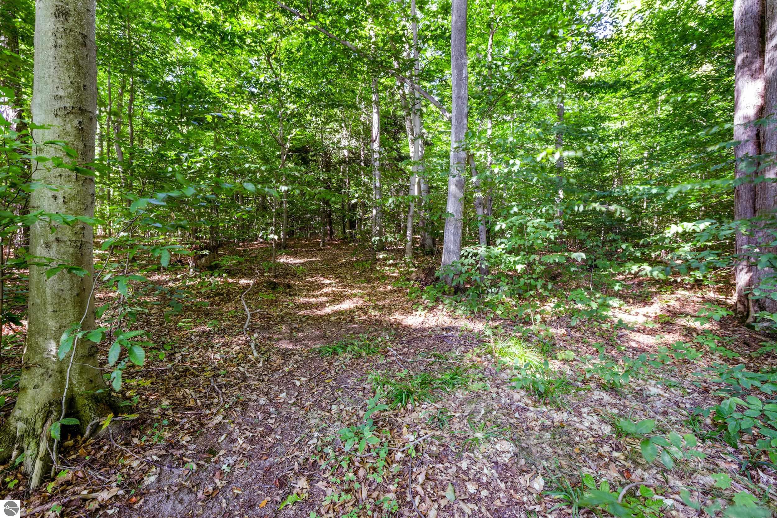 Image 15