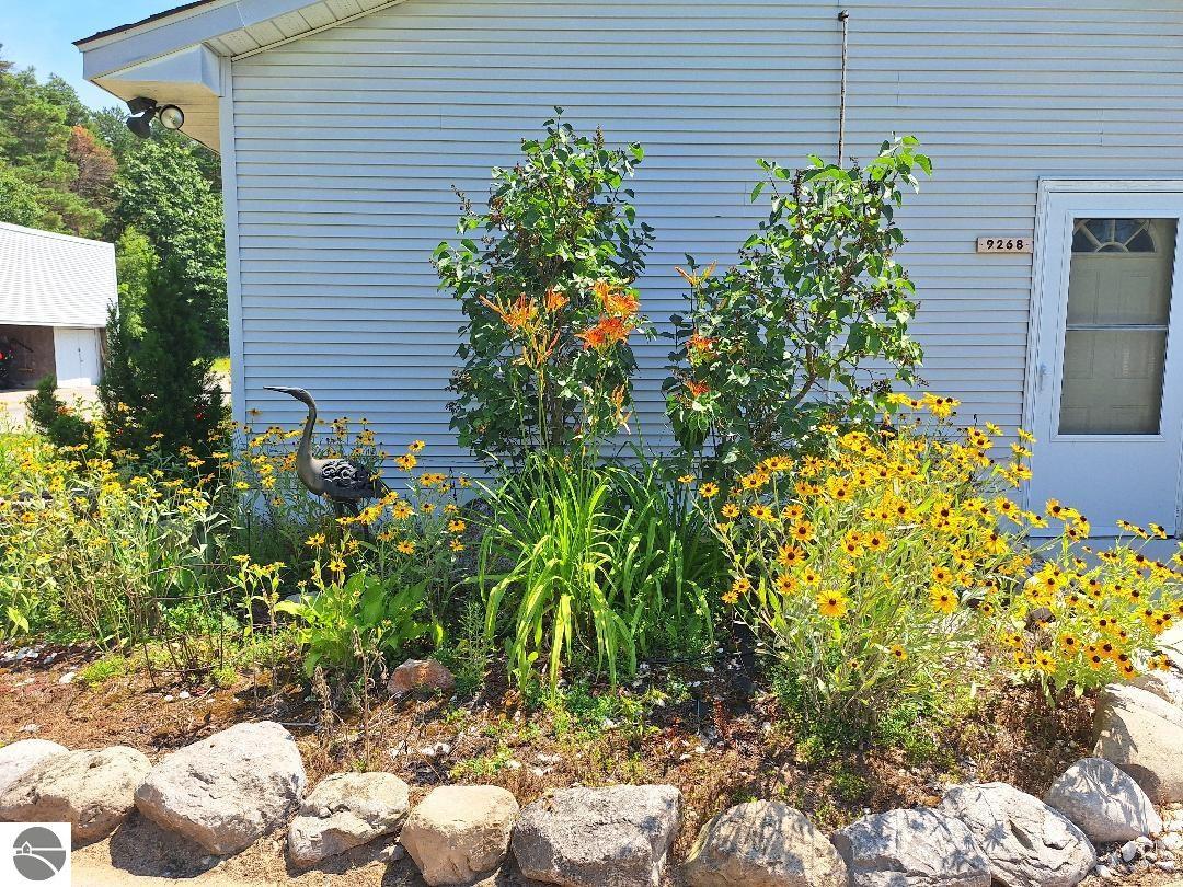 Image 54