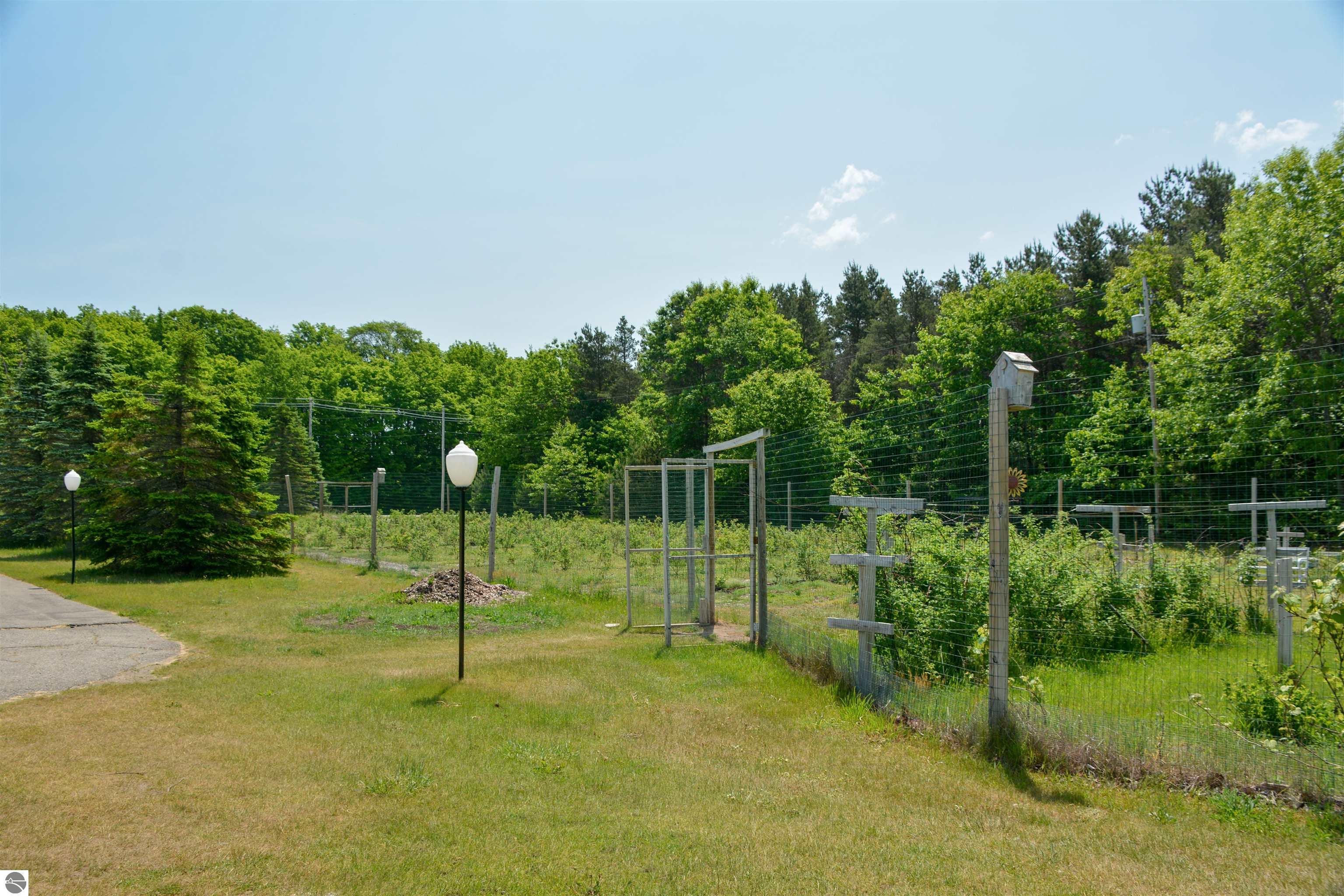 Image 15