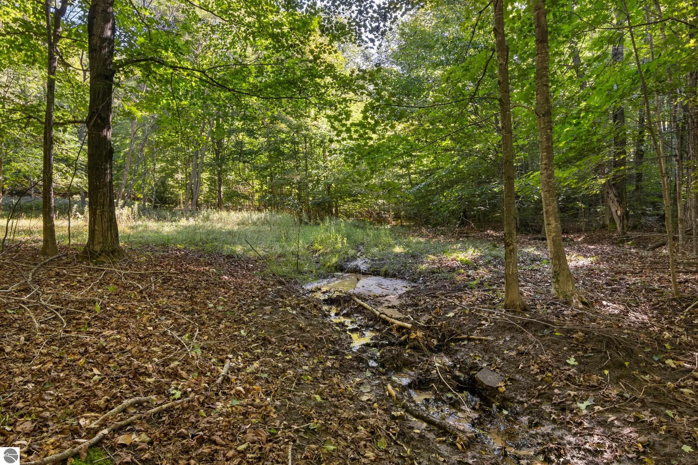 Image 53