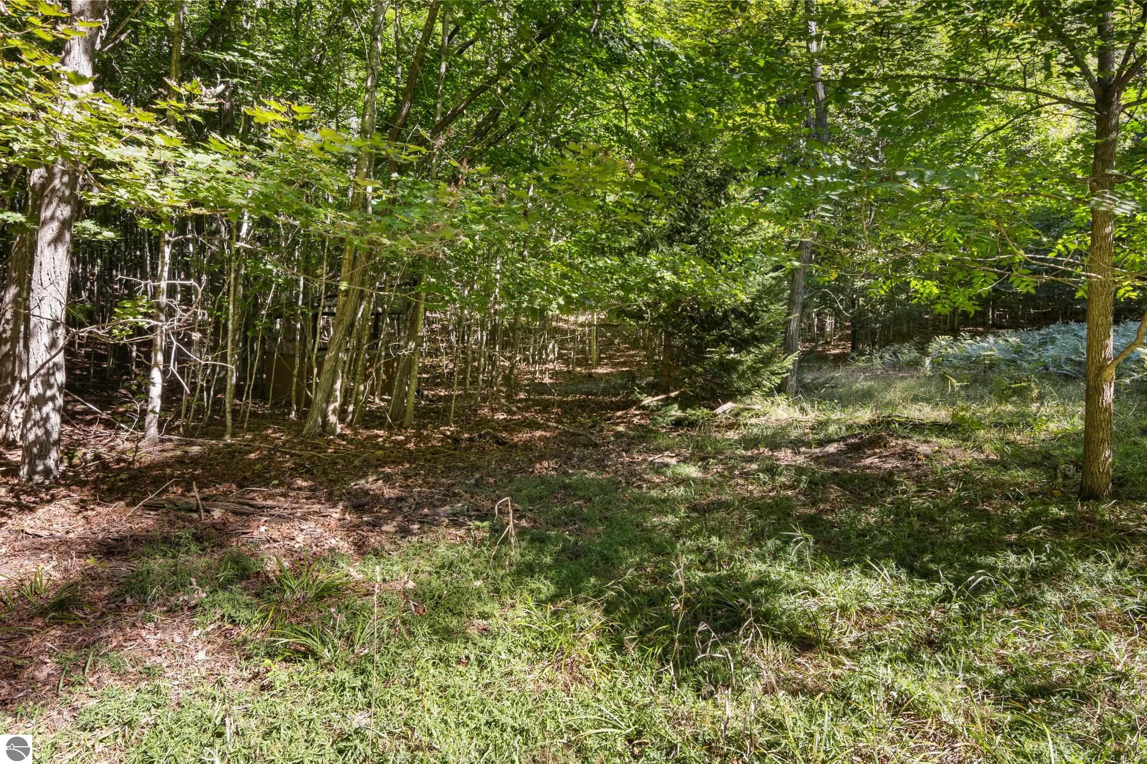 Image 54