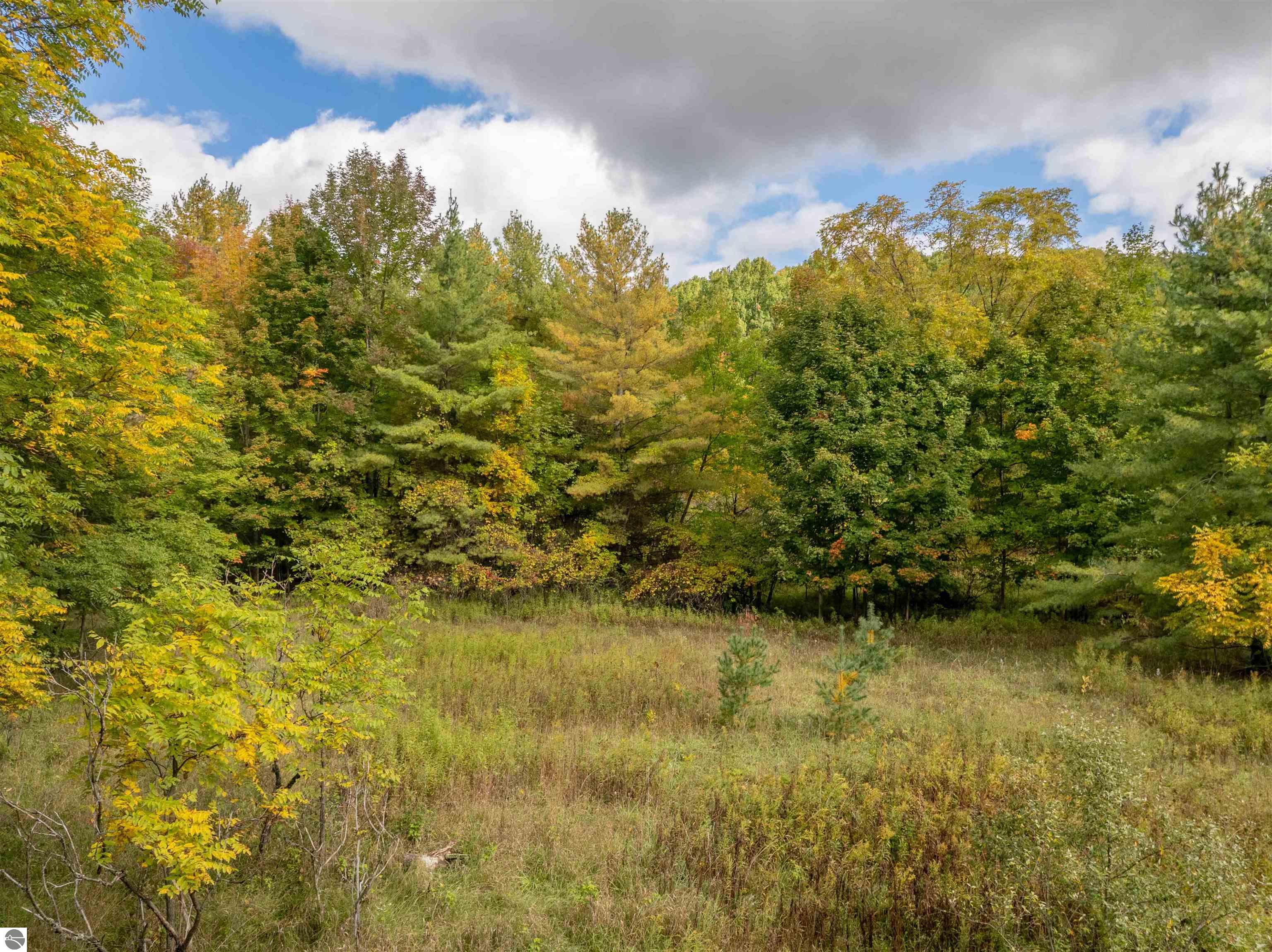Image 25