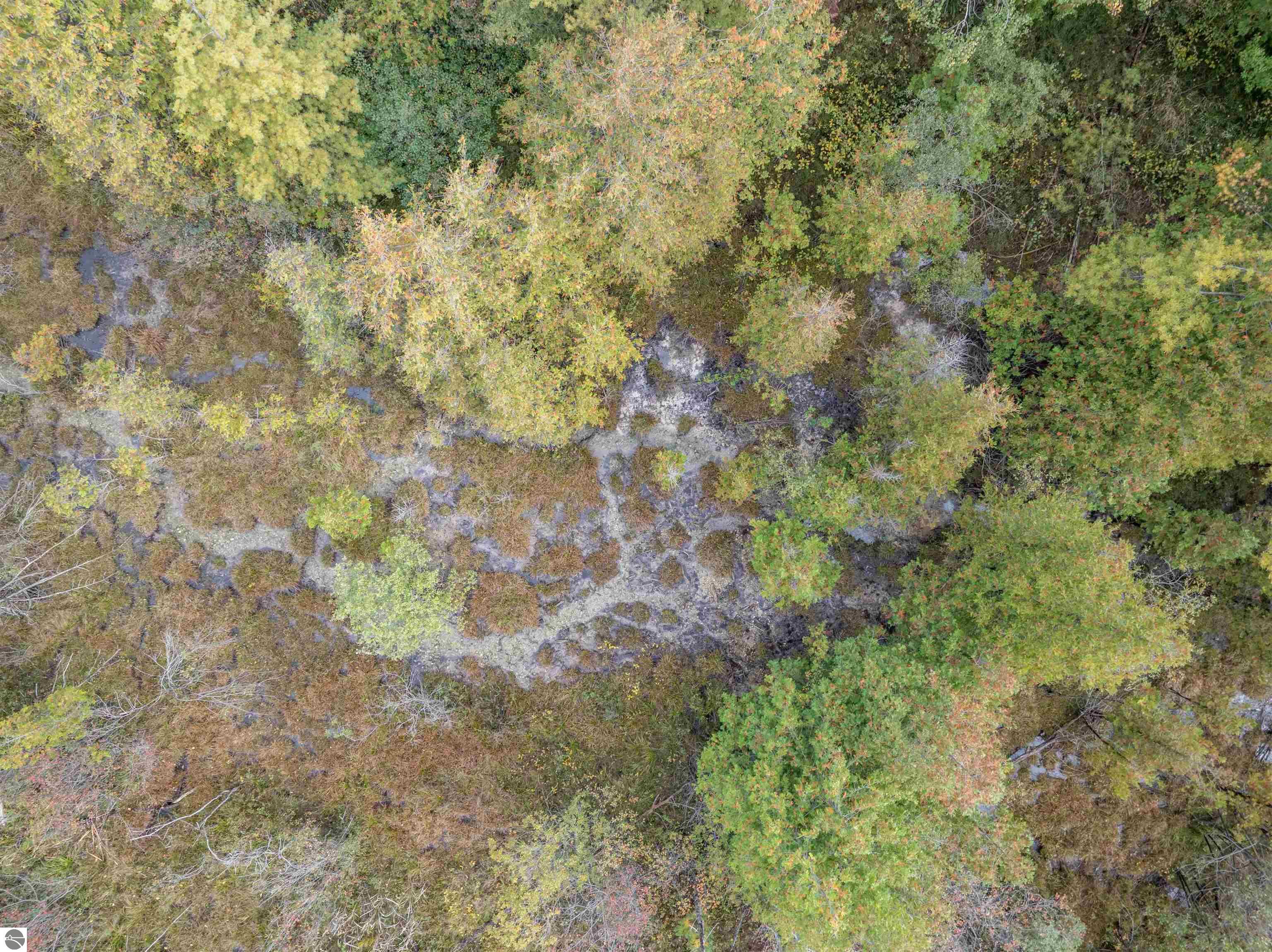 Image 28