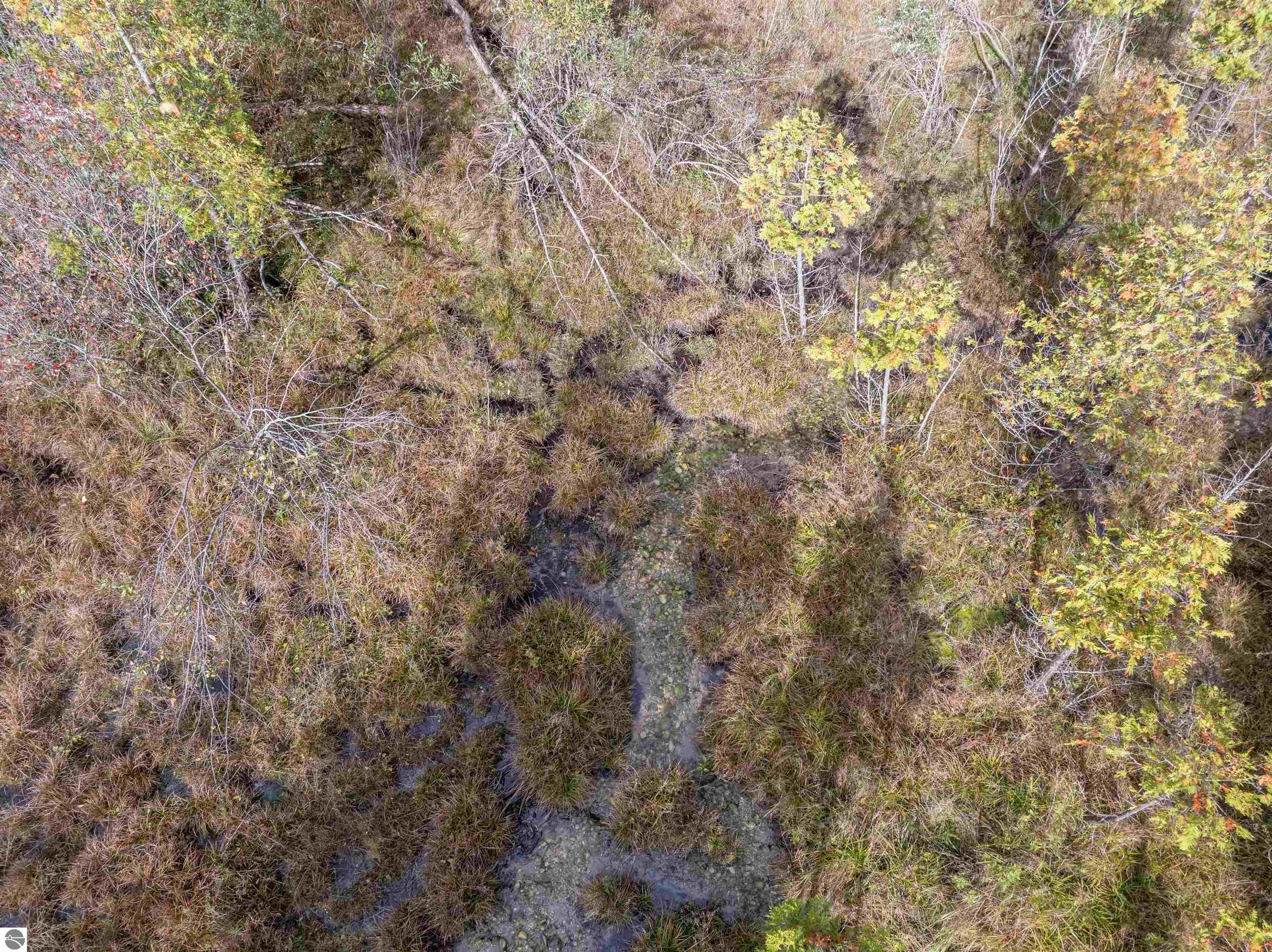 Image 29