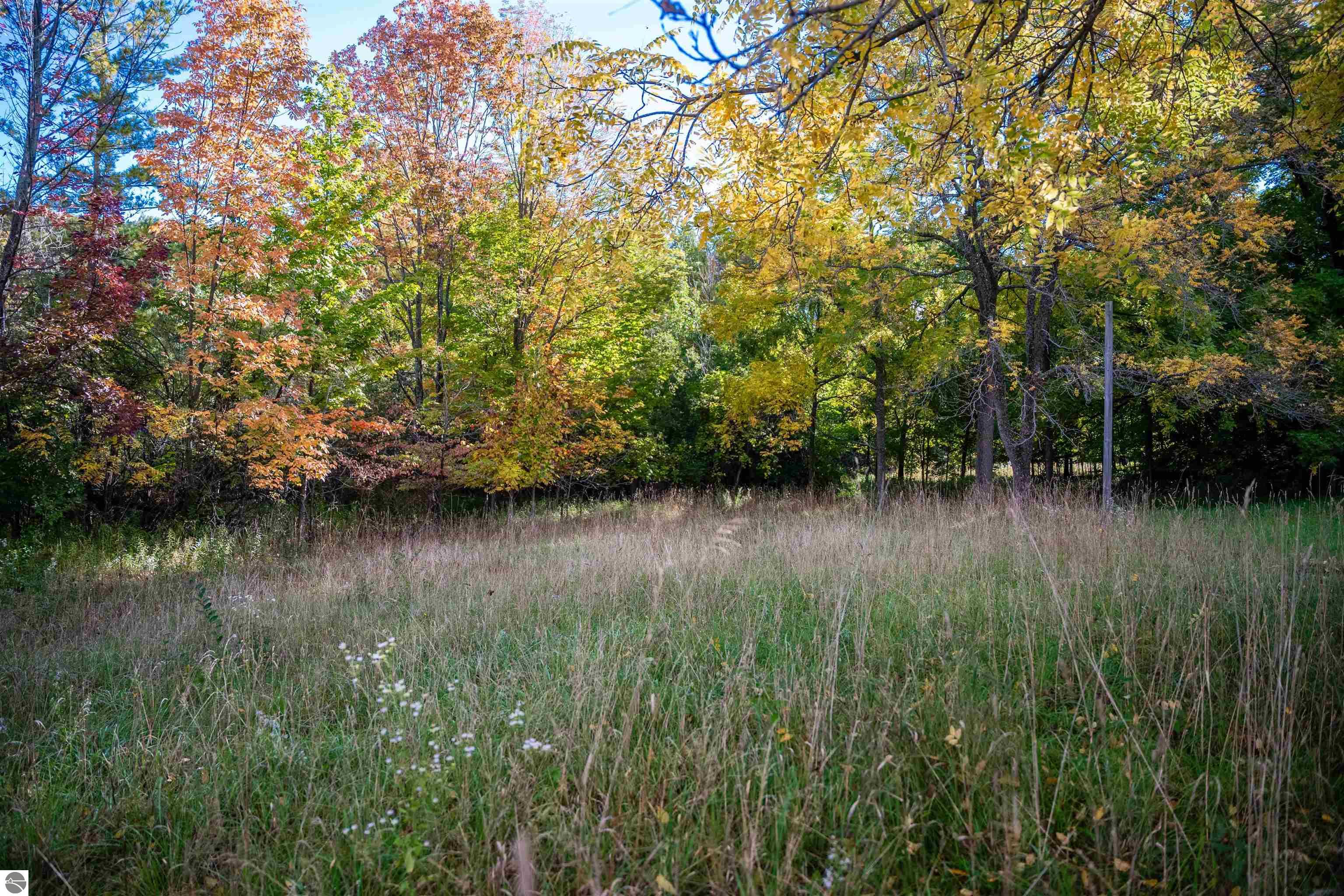 Image 33