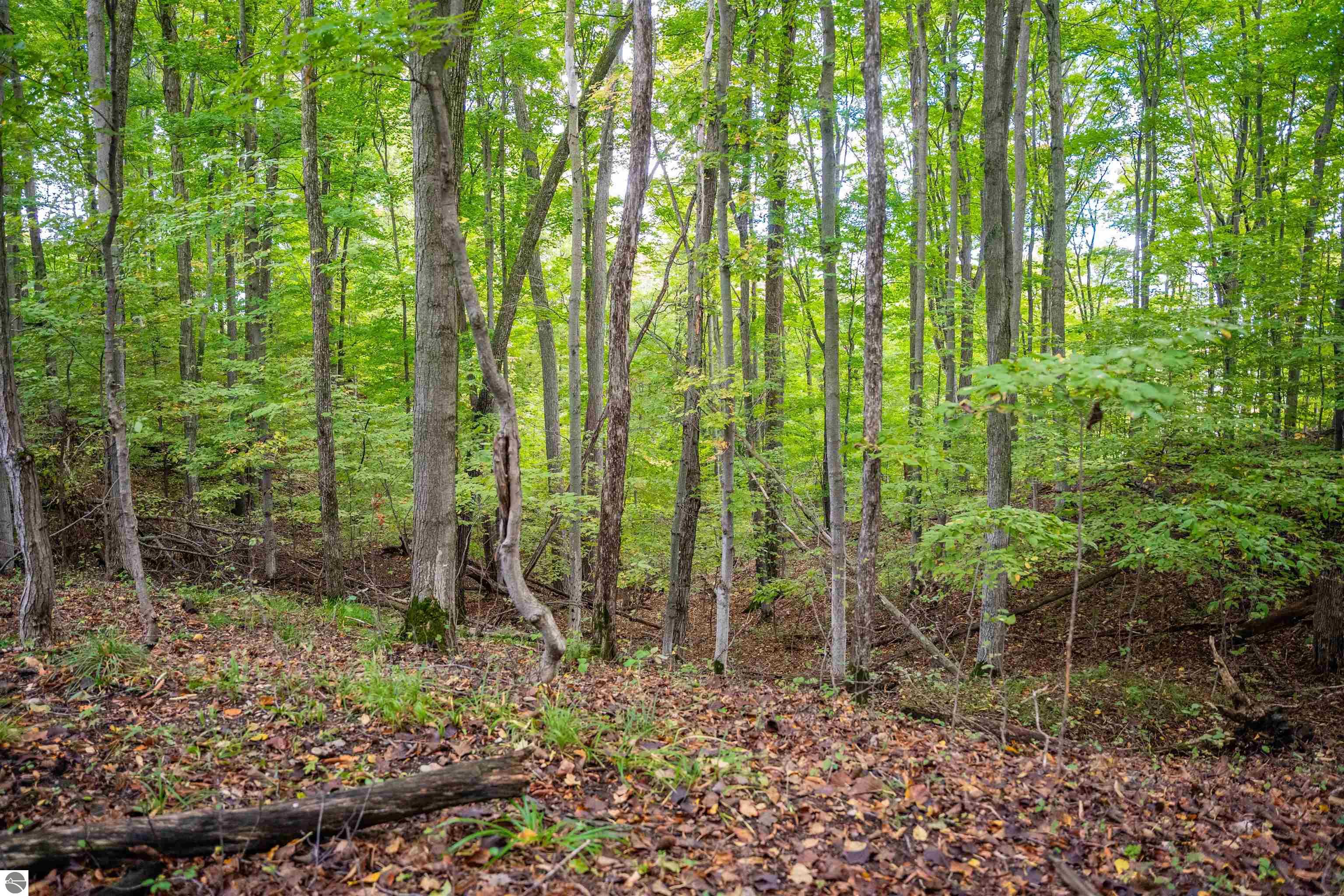Image 63